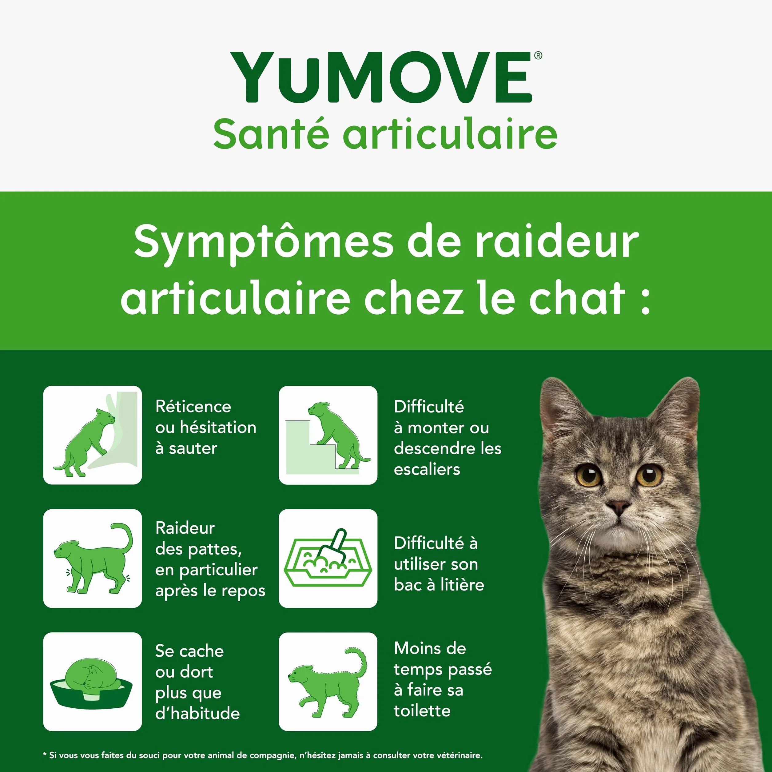 YuMOVE Articulation Chat 8 Ans et Plus – 60 Gélules à Saupoudrer – Glucosamine Chondroïtine & Huile de Poisson pour Chats Âgés