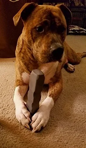 Indestructibone Extra Large Plus Chew Toy for Dogs 51-100 pounds