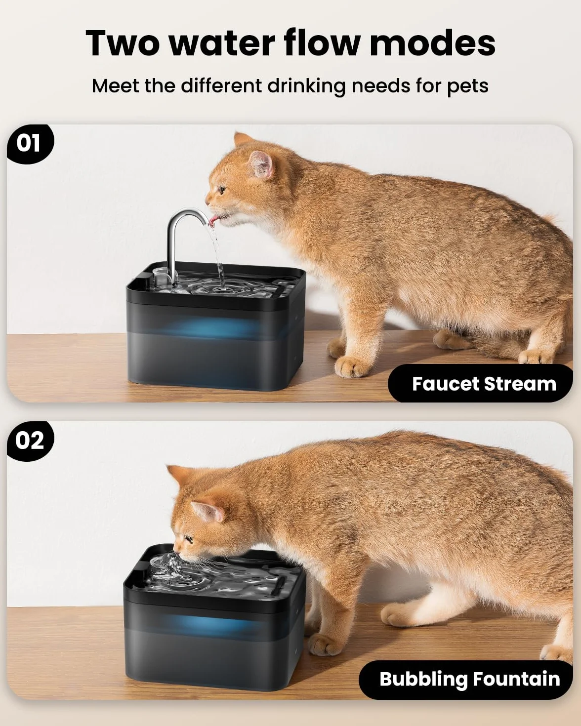 PawPoll Filtres de Fontaine à Eau Chat, 6 PCS Filtres + 6 Éponges