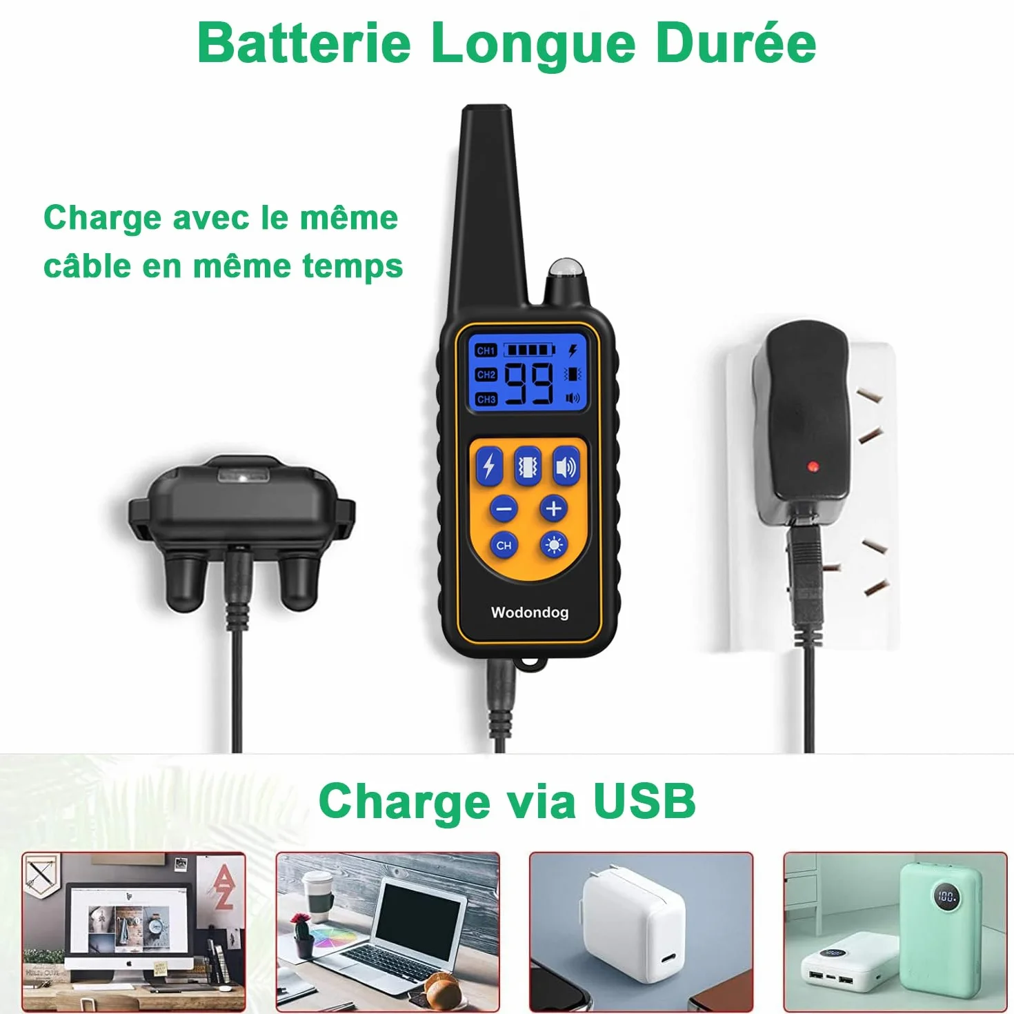 Collier de Dressage pour Chien Étanche Rechargeable 1000m, 2 Colliers