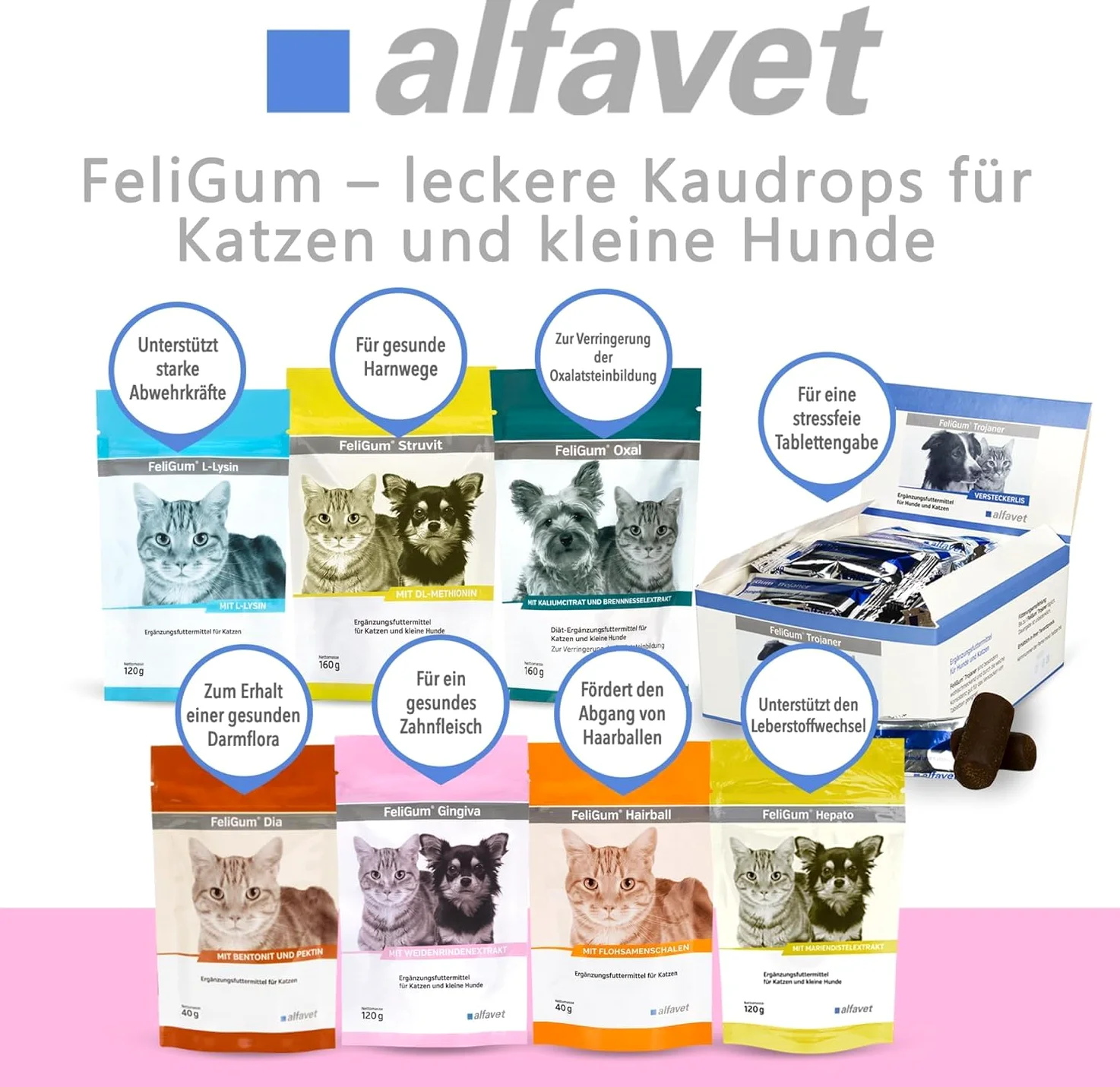 alfavet FeliGum Gingiva | Pack Double | 2 x 120 g | Complément Alimentaire pour Chats et Petits Chiens | avec extrait d'écorce de Saule et acides Gras oméga-3 | Délicieuses Gouttes à mâcher