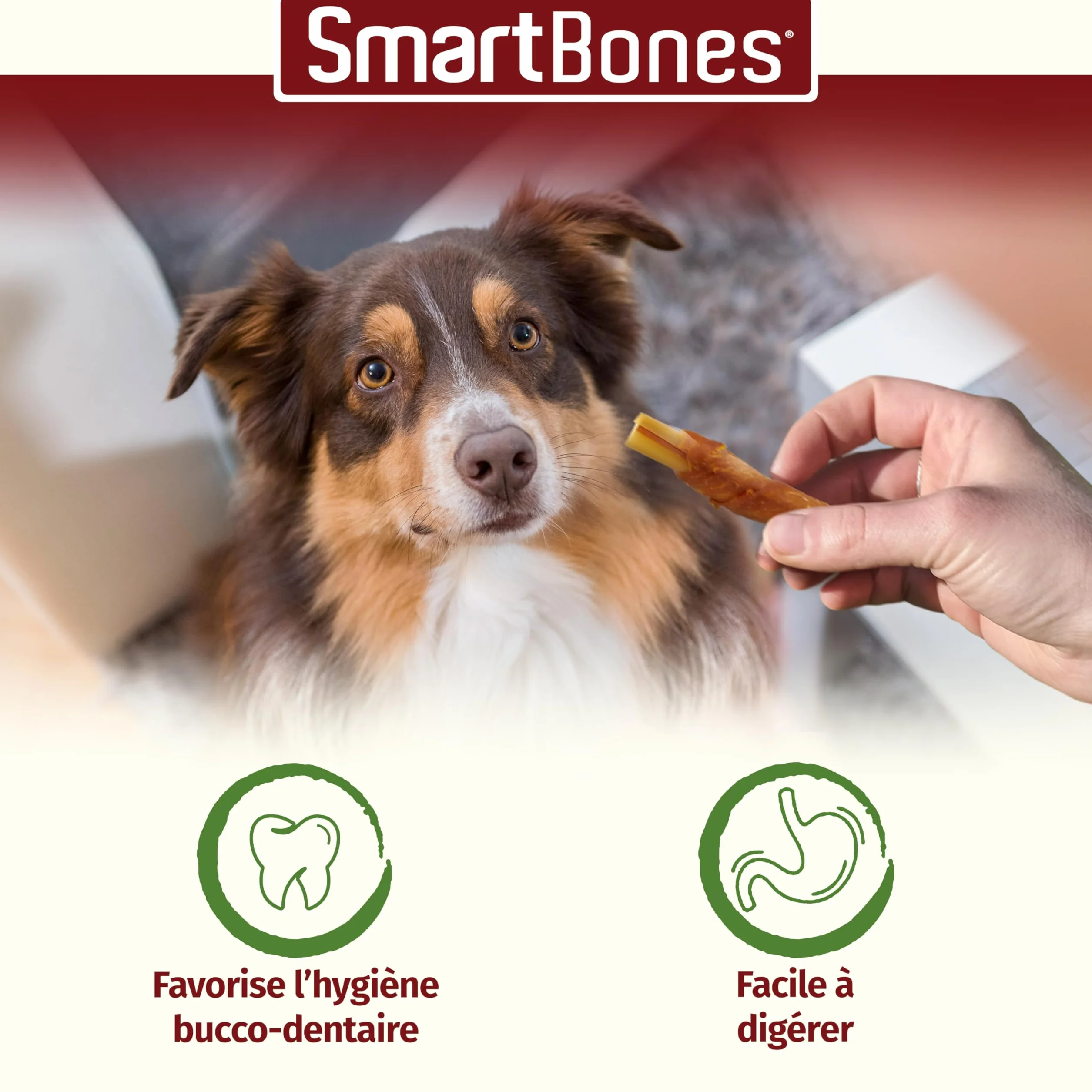 Smartbones Gâteries à mâcher pour chiens sans cuir brut, 5 bâtonnets enrobés de poulet