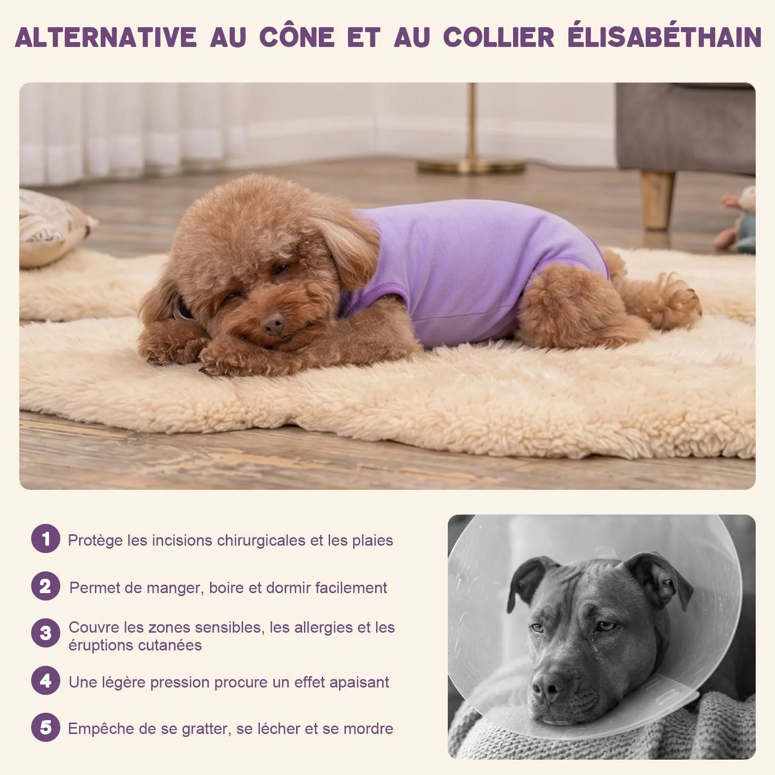 Combinaison de Récupération pour Chiens Chats Après Chirurgie, Body Post Operatoire pour Chien Femelle Male, Convalescence Chirurgicale pour Petite et Moyenne Taille