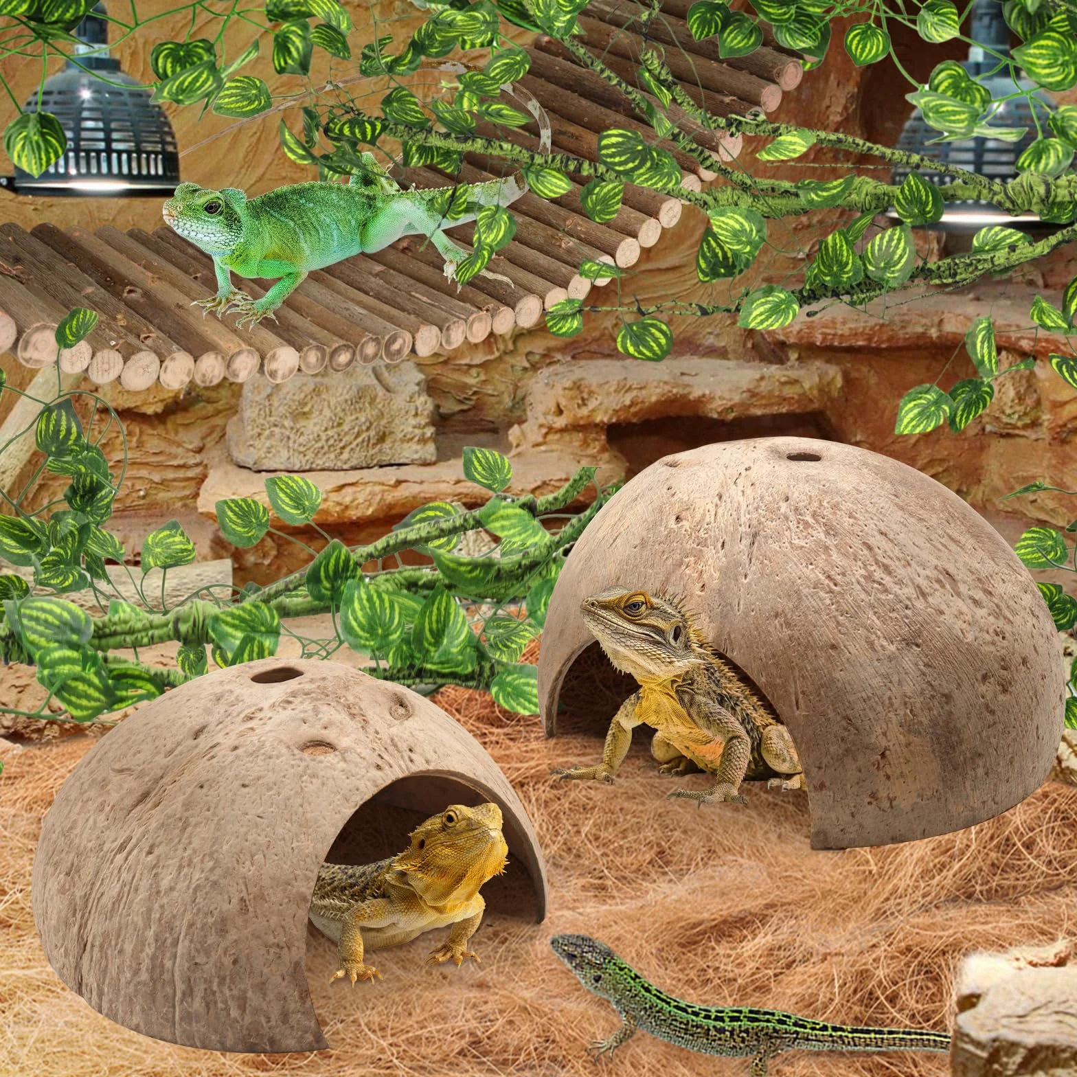 QUOZUO Accessoires de réservoir de gecko à crête, plantes grimpantes pour reptiles avec coquilles de noix de coco, pont, cachette