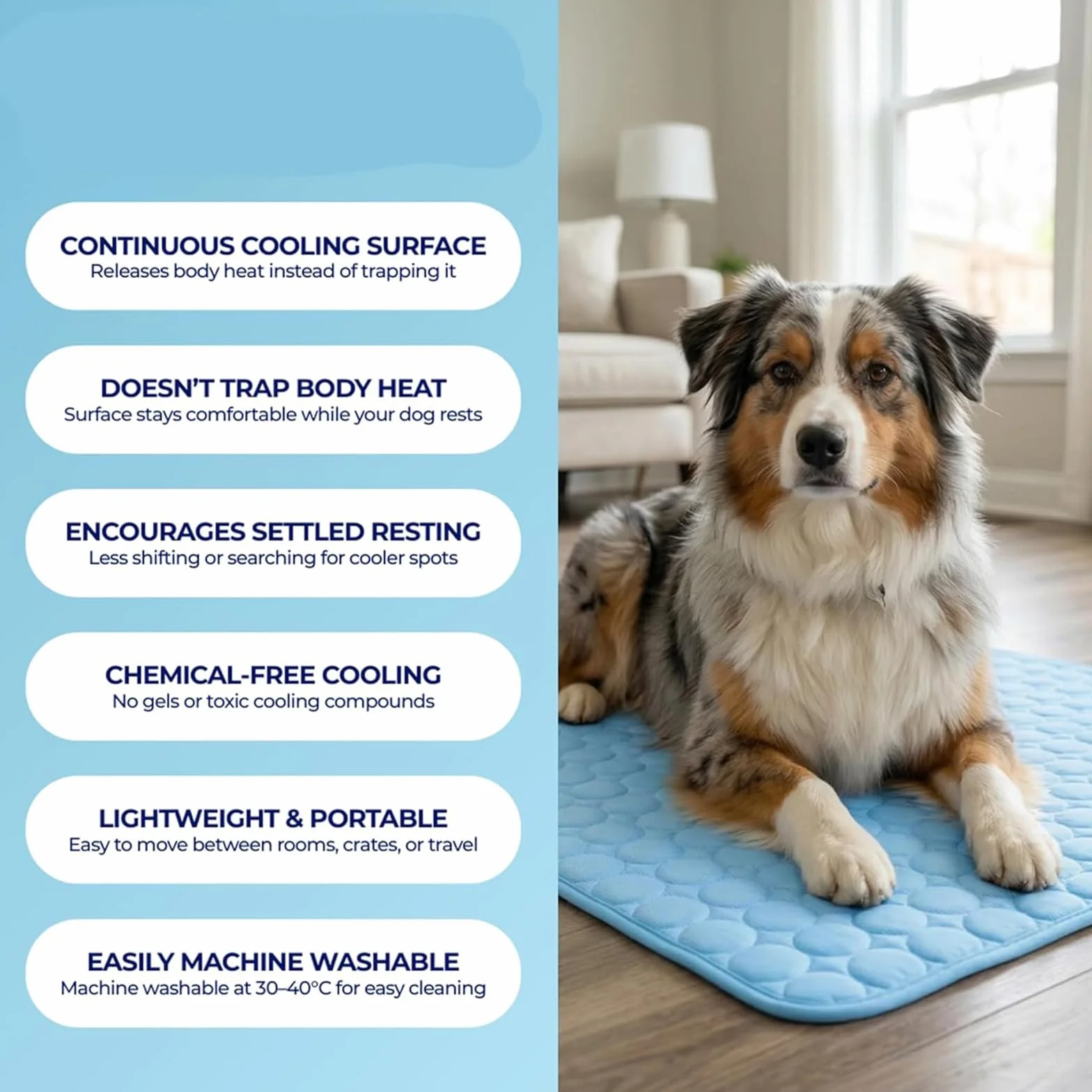 Tapis Rafraîchissant pour Chien et Chat en Tissu Ice Silk, Coussin Fraîcheur Lavable Pliable Anti-Chaleur Été Bleu M