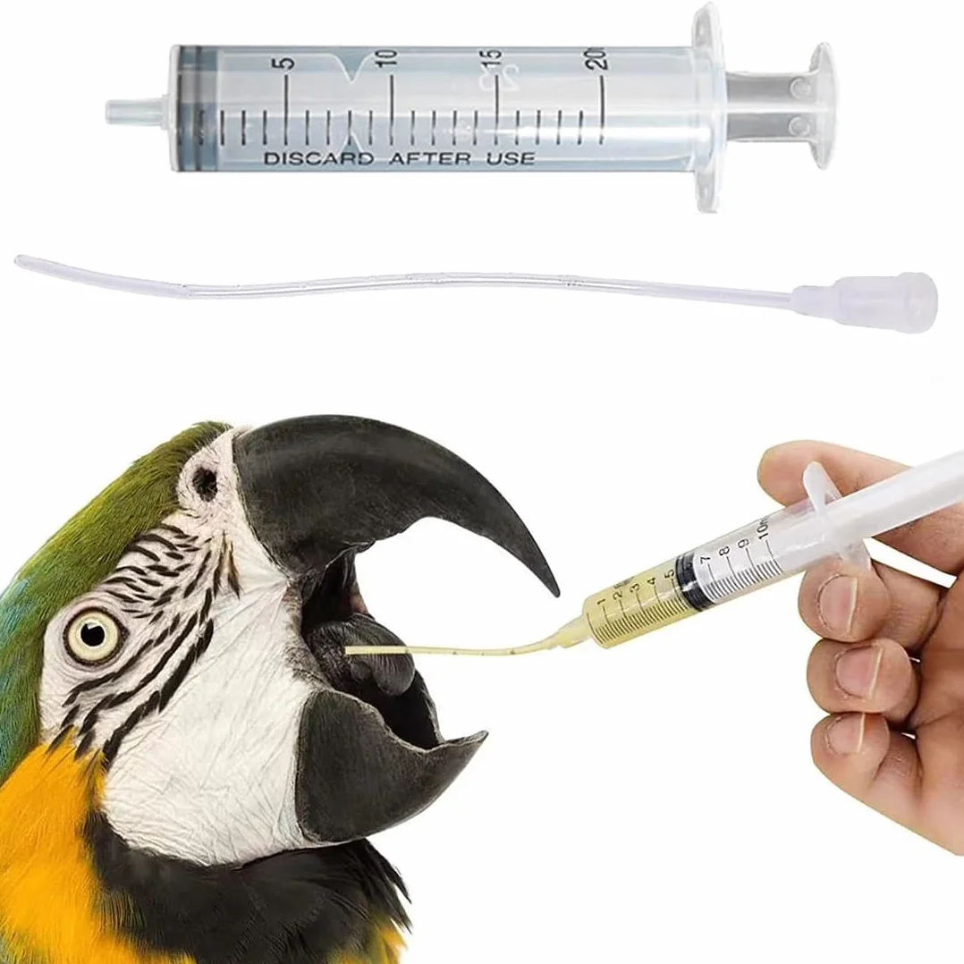 Bébé Oiseau D'Alimentation Tortue 10 PCS Seringue 10 ML Tuyaux Tube pour Perruches Hamsters