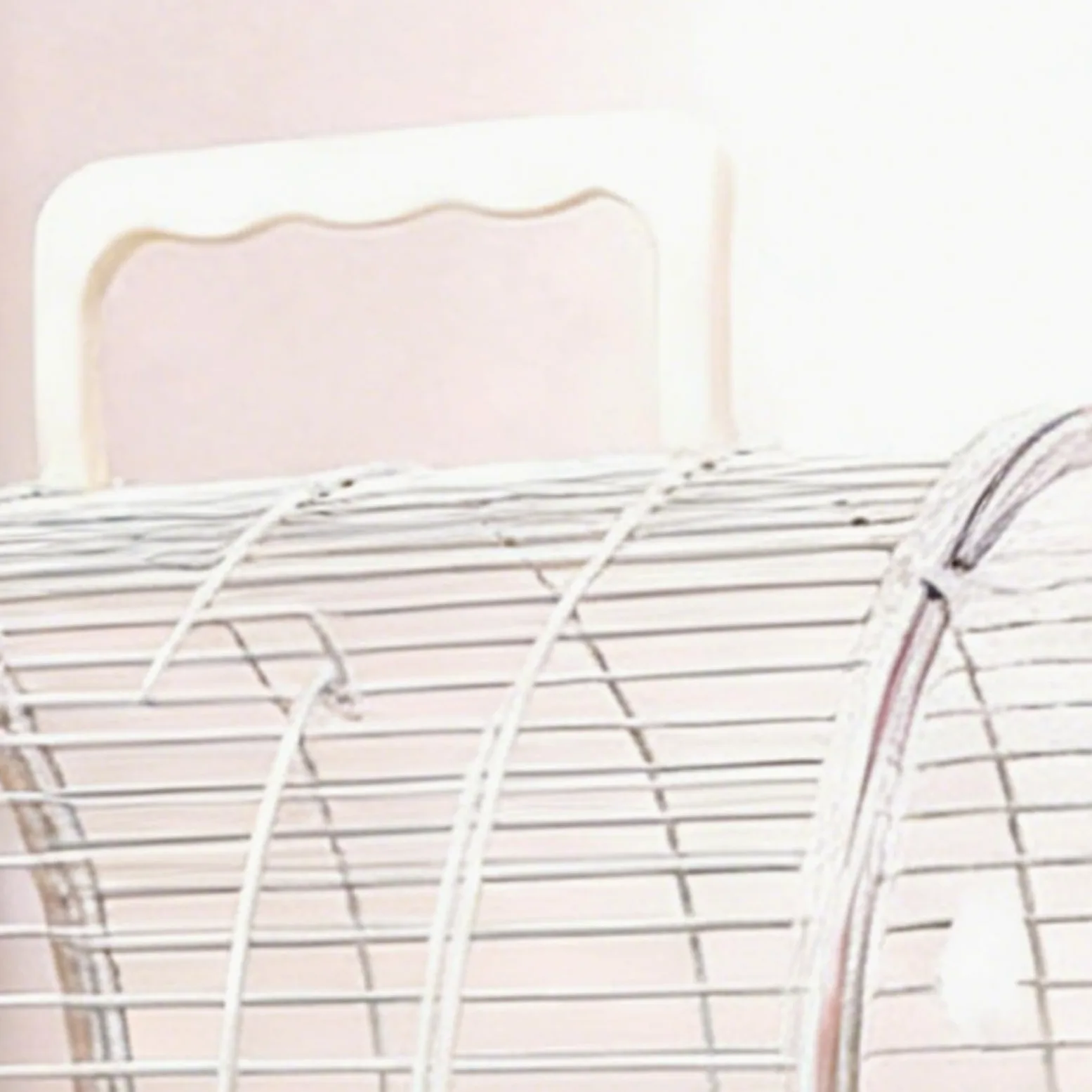 Cage De Pour Oiseaux De Compagnie Nid Avec Perchoir Debout Et Fenêtre | Cage D'Extérieur Pour Oiseaux pour Perruche, Canari, Calopsitte, Conure et Dragon Barbu