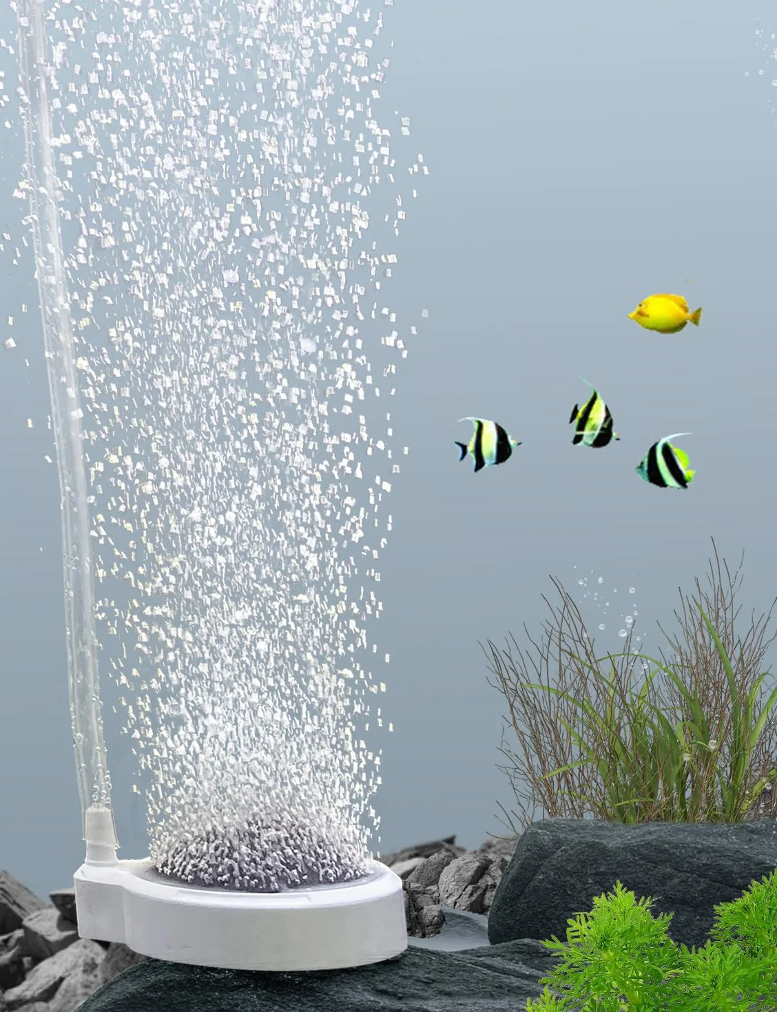 Boxtech Pierre à Air Aquarium 50mm Diffuseur d'air pour Aquariophilie