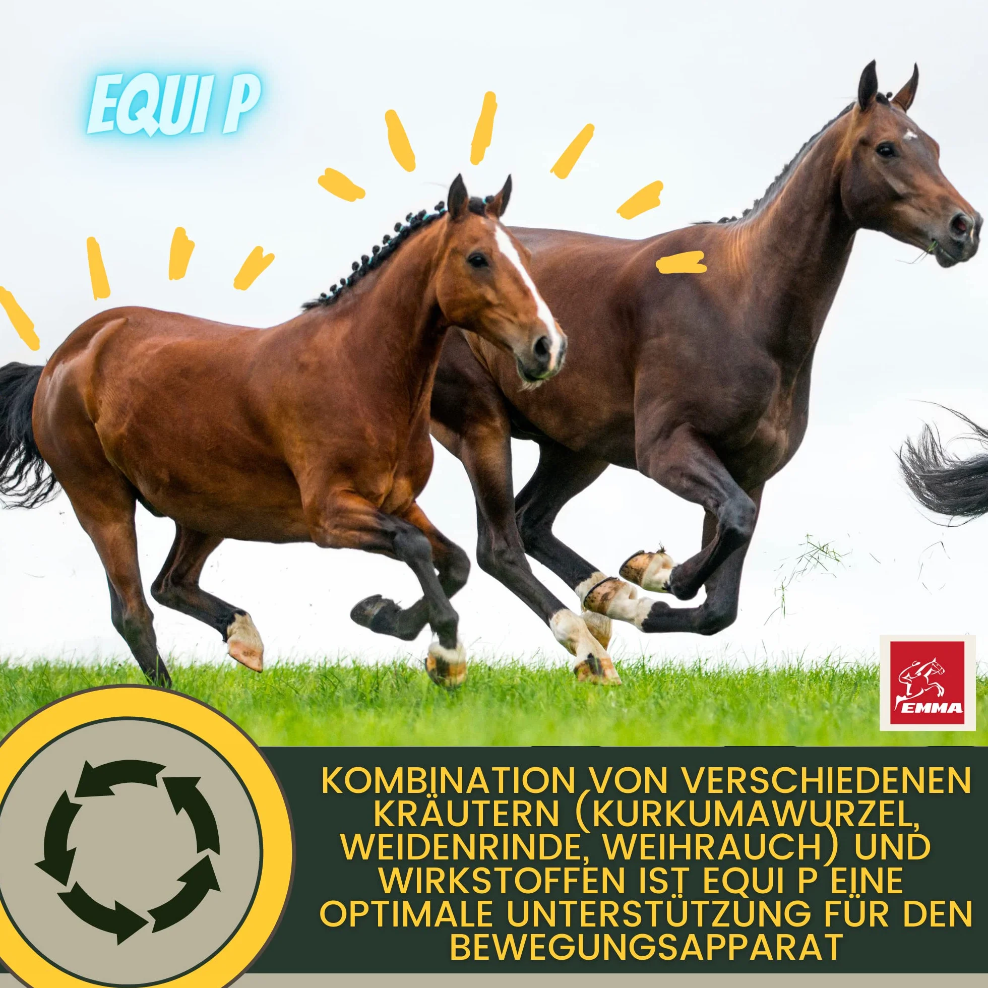 Pâte vitaminée cheval glucosamine chondroïtine haute dose appareil locomoteur articulations tendons ligaments