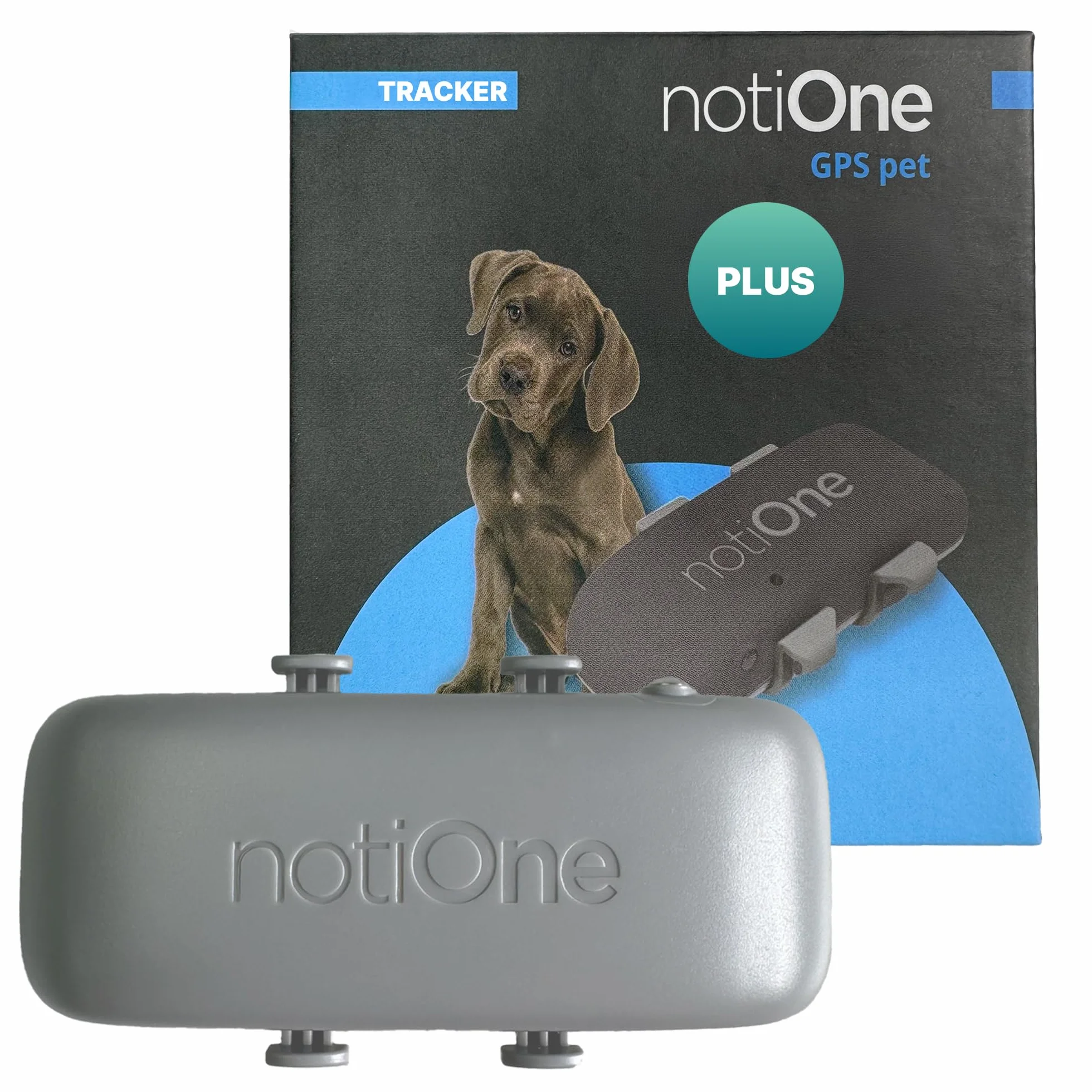Traceur GPS Pet Plus sans Abonnement, Chien & Chat, géofence | Suivi d'activité et Roaming Gratuit, Etanche