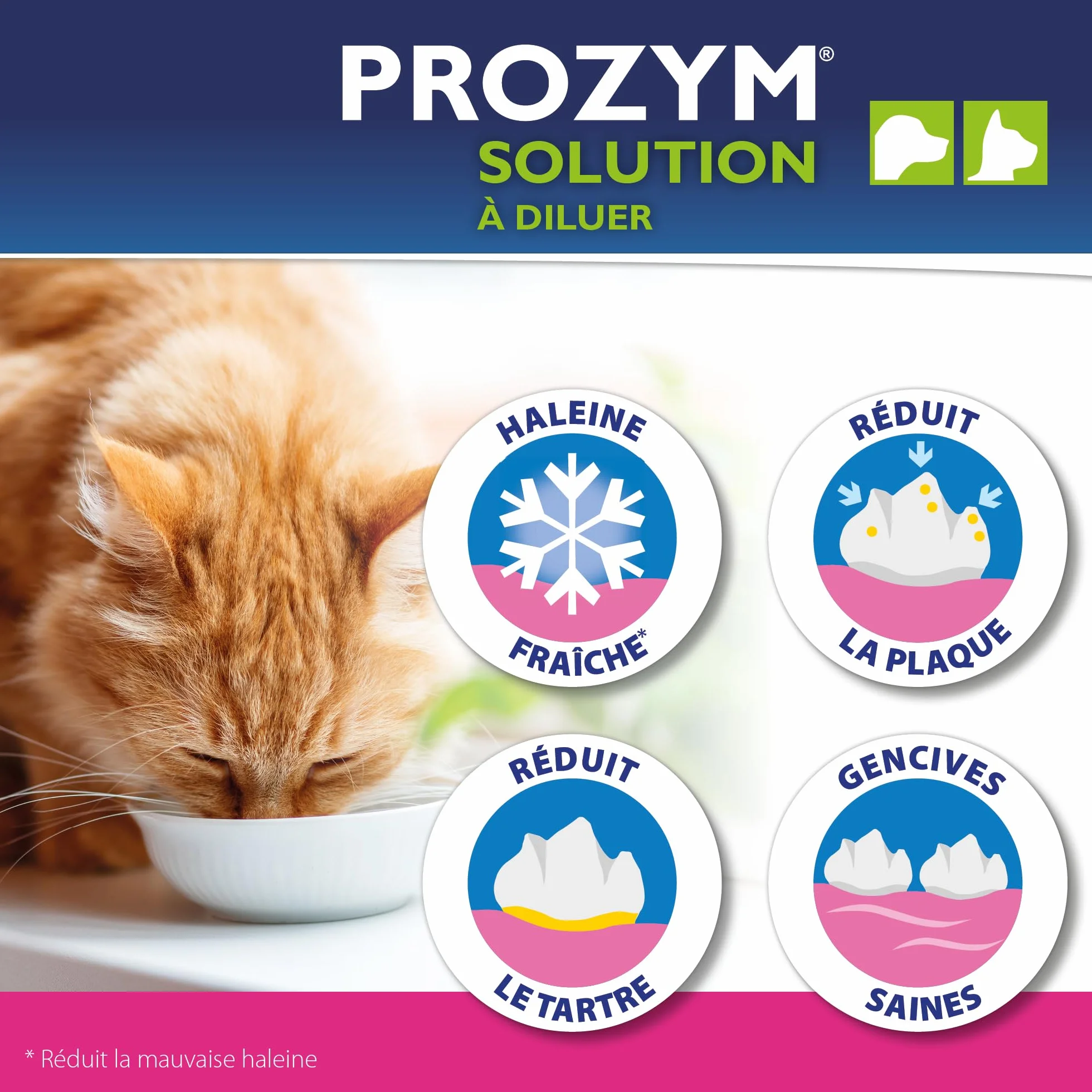 PROZYM Lot de 2 Solutions Dentaires pour Chiens et Chats Anti-tartre Anti-Plaque Haleine fraîche