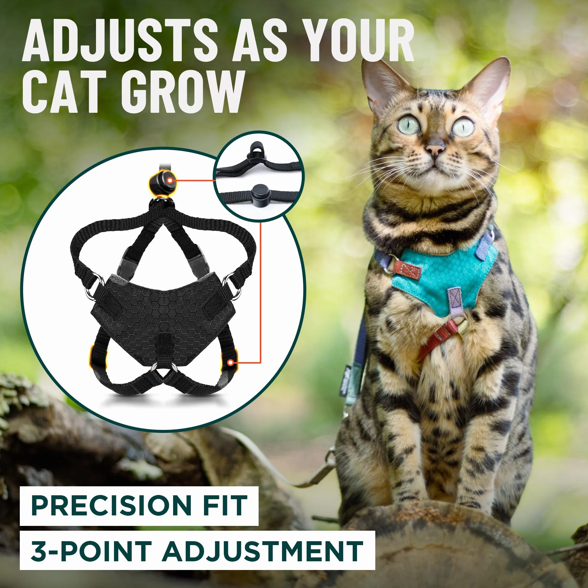 OutdoorBengal Houdini Harnais et Laisse pour Chaton résistant à l'évasion S