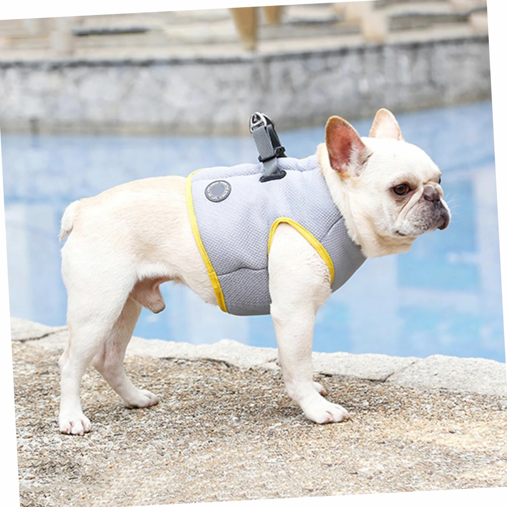 Sangle De Traction Pour Animaux De Compagnie Débardeurs Veste De Refroidissement Veste Rafraîchissante Pour Chien Camisoles Cool Gilet Sensation De Fraîcheur La Laisse Du Chien