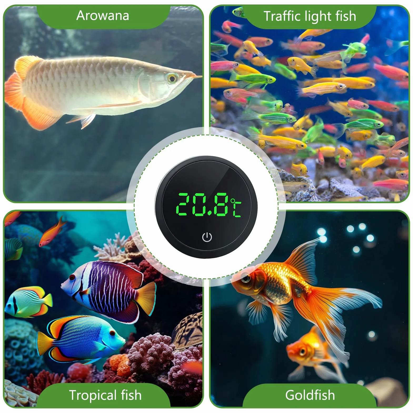 Thermomètre d'Aquarium Numérique avec Ecran Tactile, Affichage LED, sans Fil pour Eau Douce