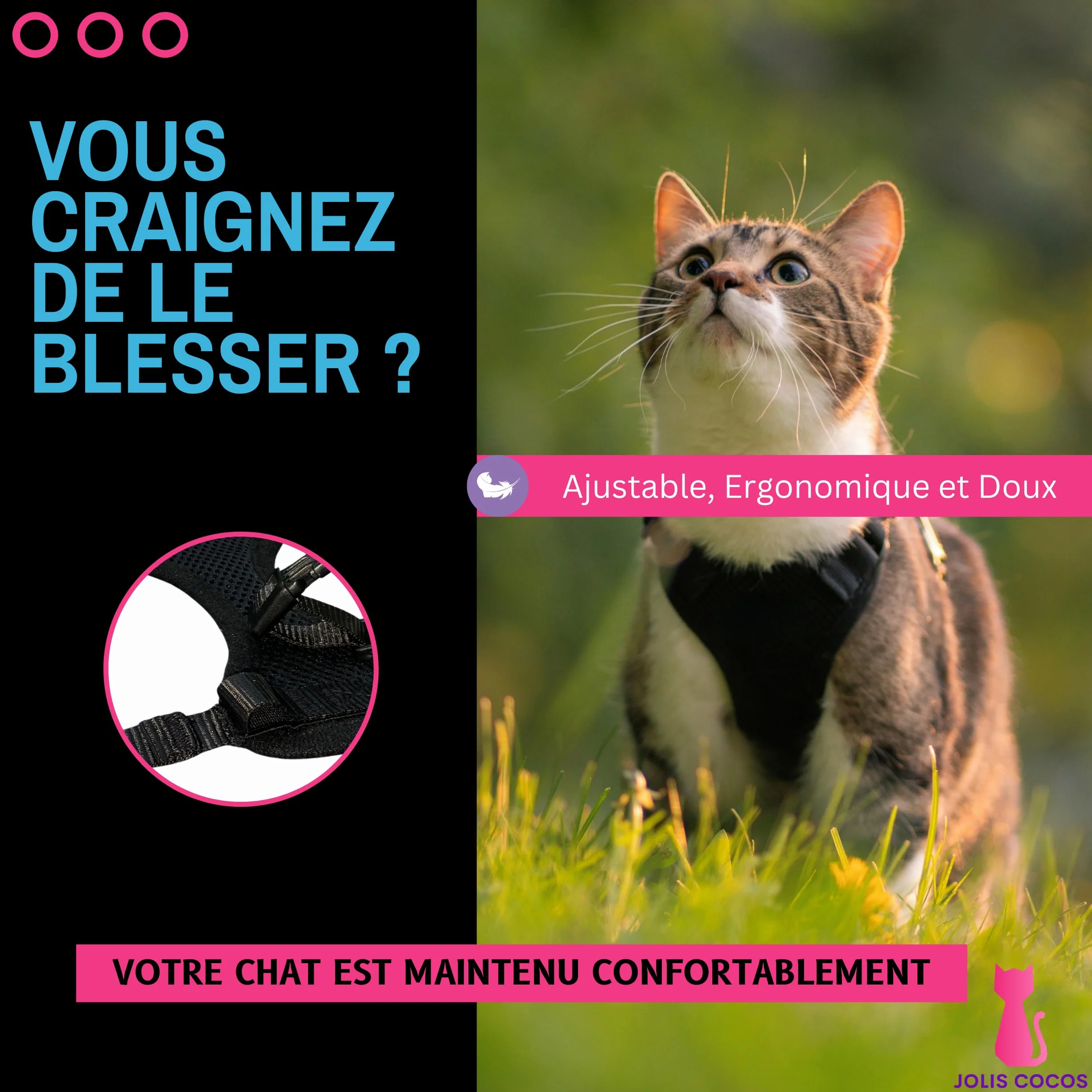 Harnais et Laisse pour Chat ou Lapin avec Guide Première Sortie, Accessoire Réglable Réfléchissant, Anti-Fugue