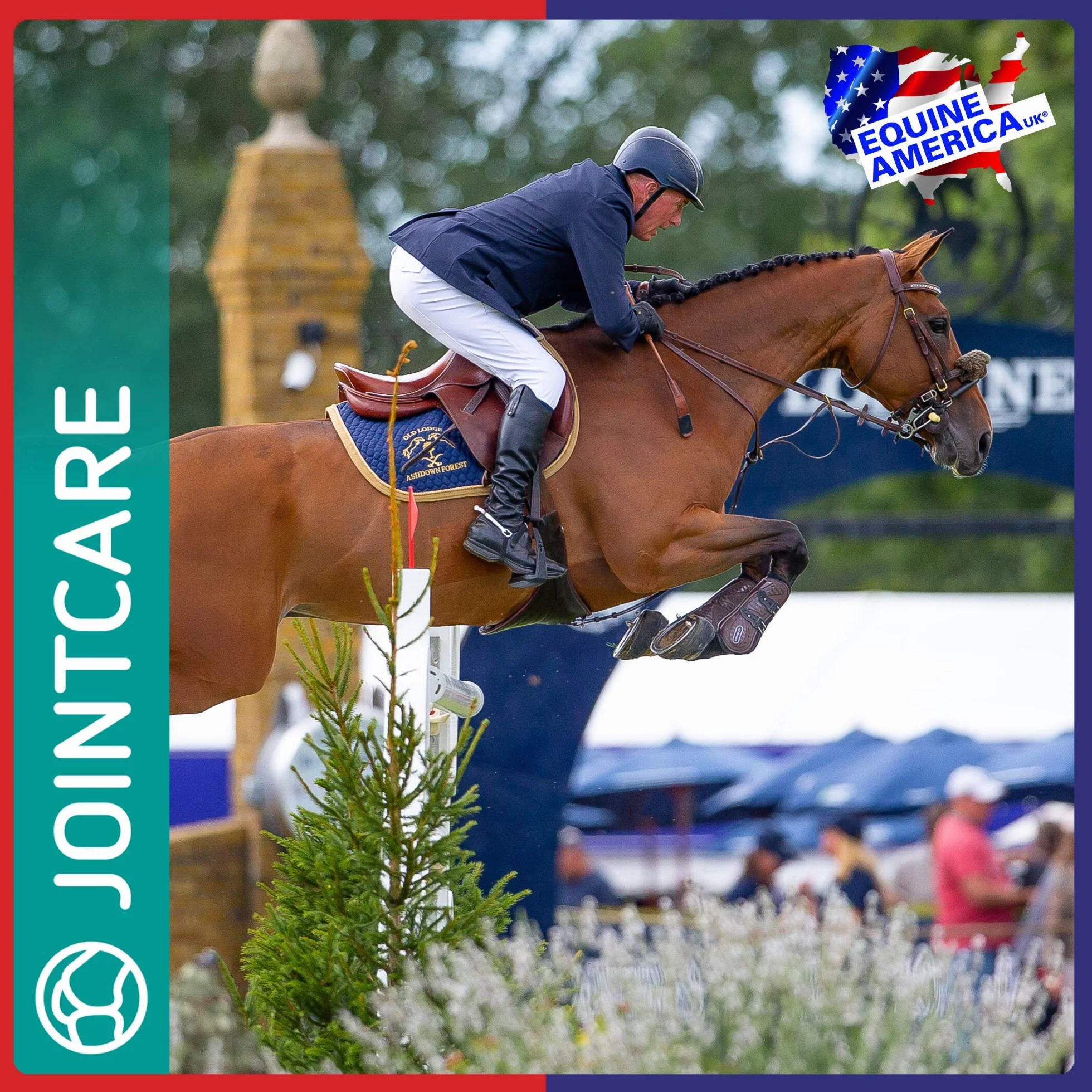 Equine America UK Cortaflex Ha Solution Super Fenn 1L Supplément Soins Articulations Cheval