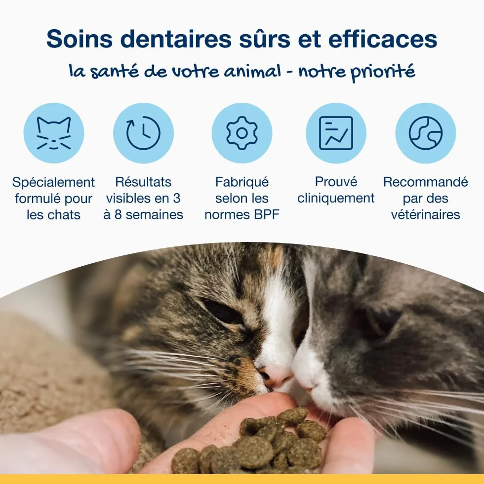ProDen PlaqueOff Friandises Dentaires Croquantes pour Chats 60g Anti-Tartre Algue Naturelle