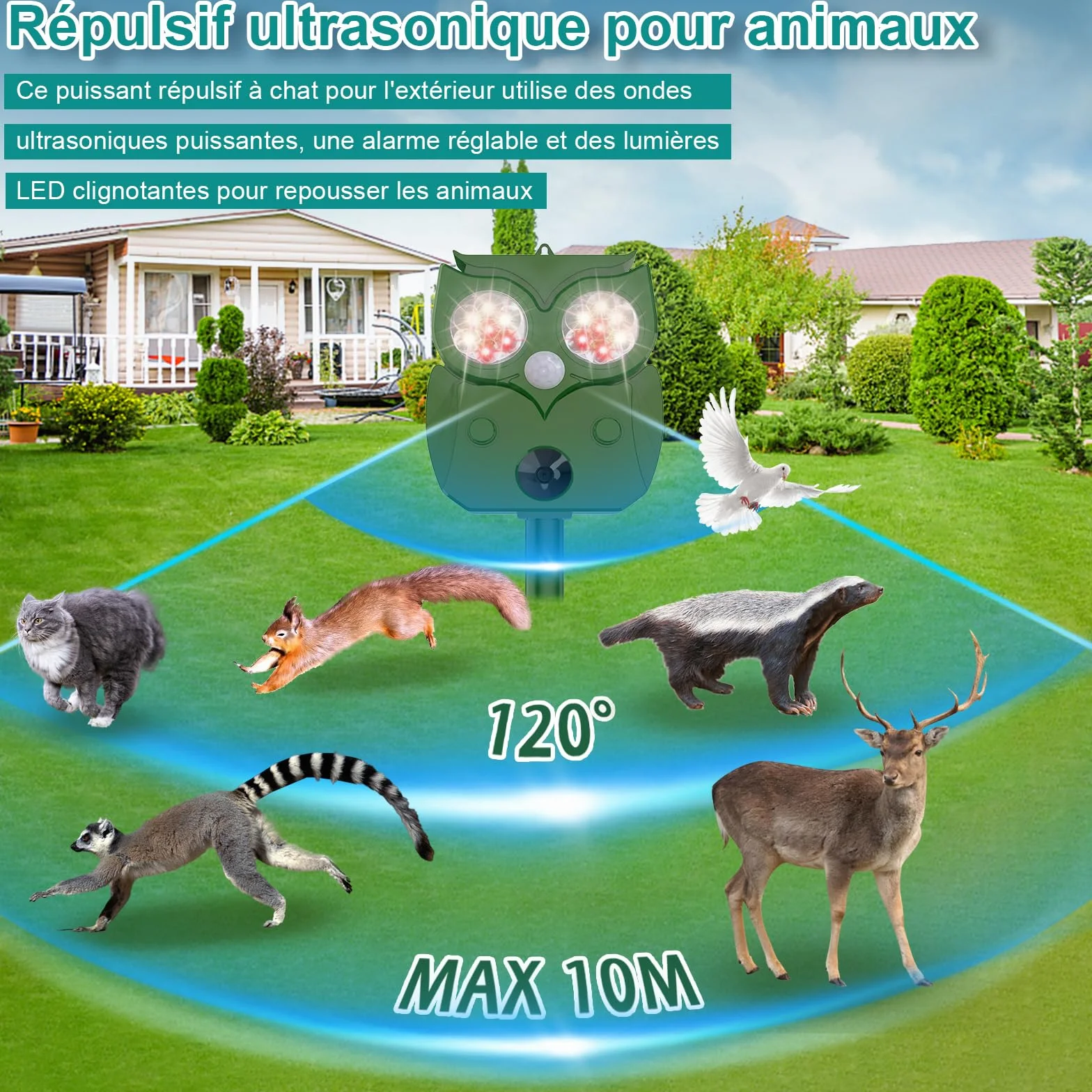 Répulsif Chat Extérieur Ultrason 1 Pièce, Anti Chat avec Détecteur de Mouvement, pour Animaux Chats Oiseaux Chiens Vergers Jardins