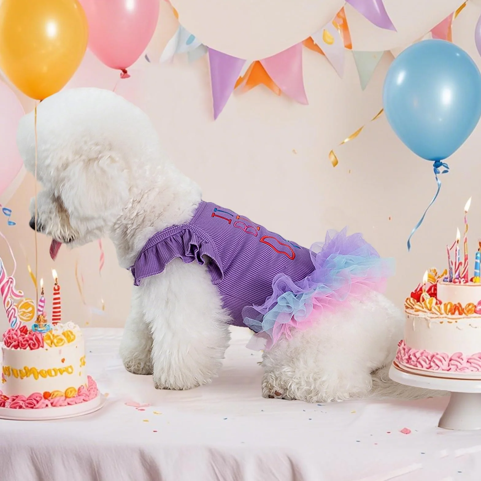 Robe d'anniversaire pour Chien C'est Mon Anniversaire, Robe Tutu Violette avec Volants et Dentelle