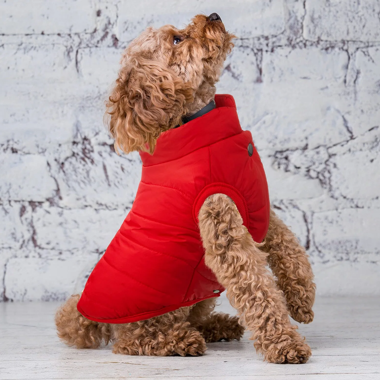 2 Vestes de Chien d'hiver Veste de Chien Chaude Doublée en Polaire de 2 Couches Manteau Doux Coupe-Vent par Temps Froid