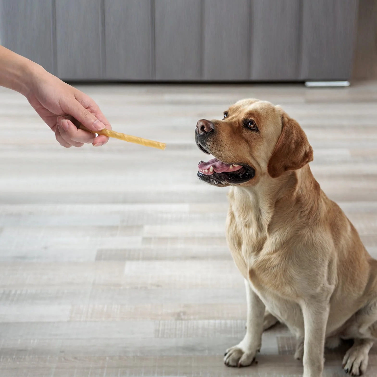 Friandises pour chien Nobleza 120 Pièces bâtonnets à mâcher 125mm x 10mm stick dentaire