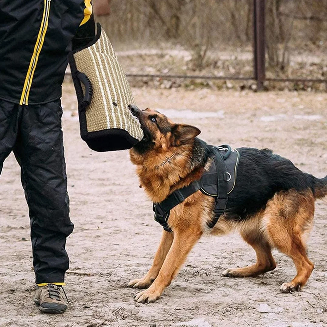 Manche de Protection Anti Morsure pour Chien Chiot Équipement d'Éducation