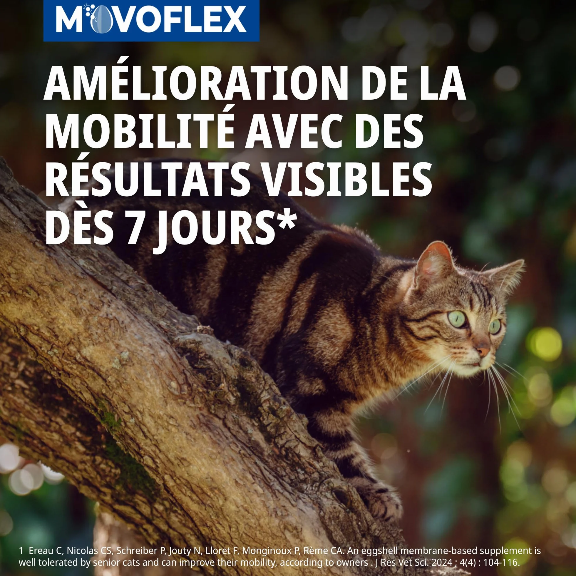 Virbac Movoflex Chat Aliment complémentaire Soutien articulations mobilité Boîte 30 bouchées