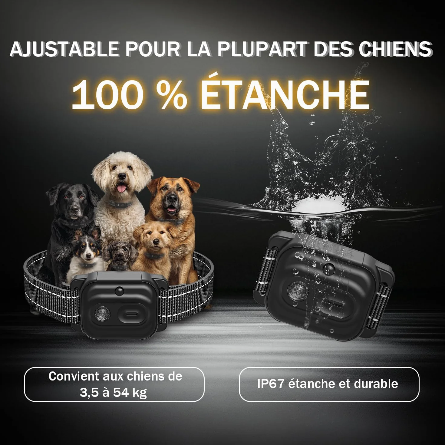 Collier de Dressage pour Chien IP67 1000m Double Canal avec Verrouillage de Sécurité Noir