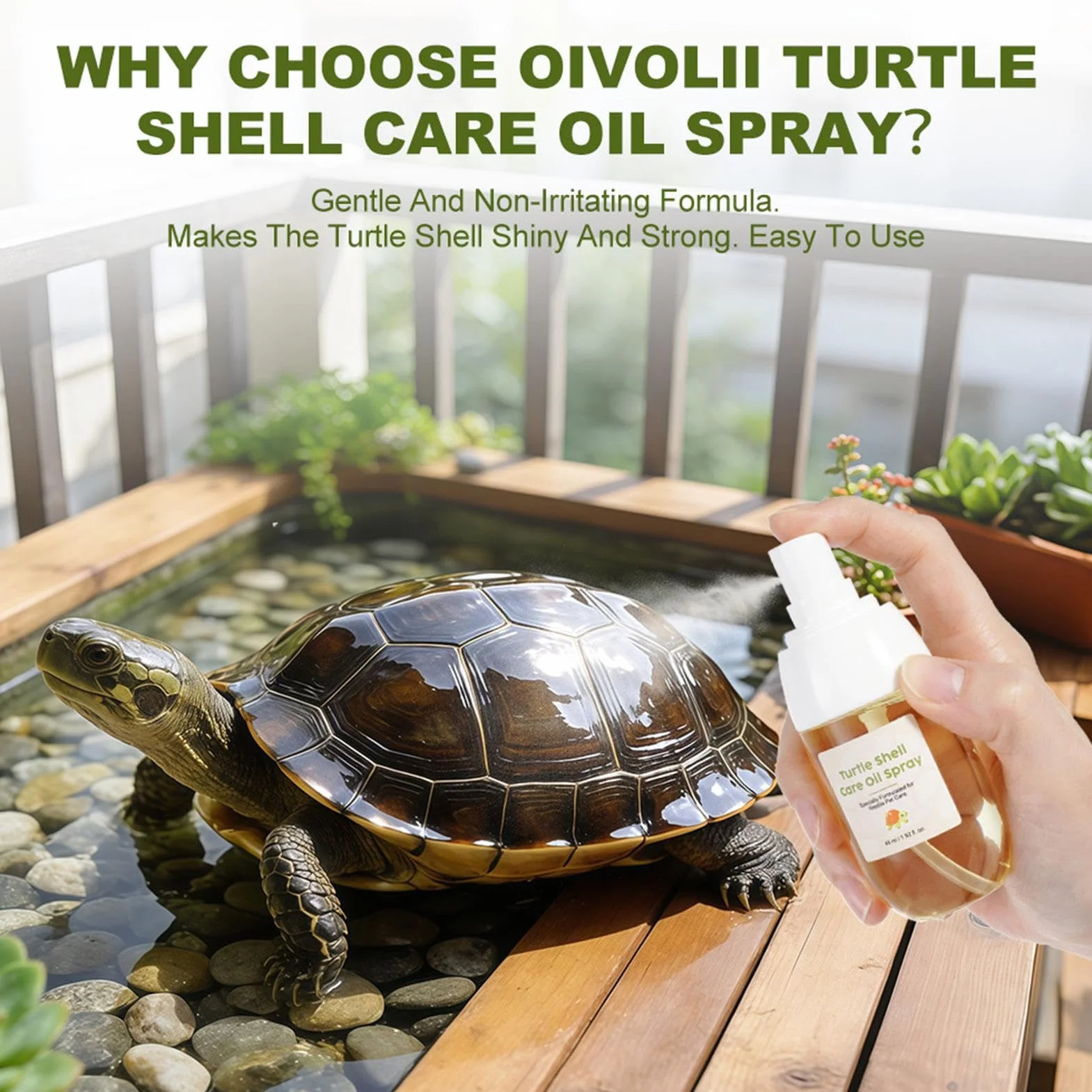 Huile pour Carapace de Tortue 45 ML Spray hydratant pour Coquille des Reptiles