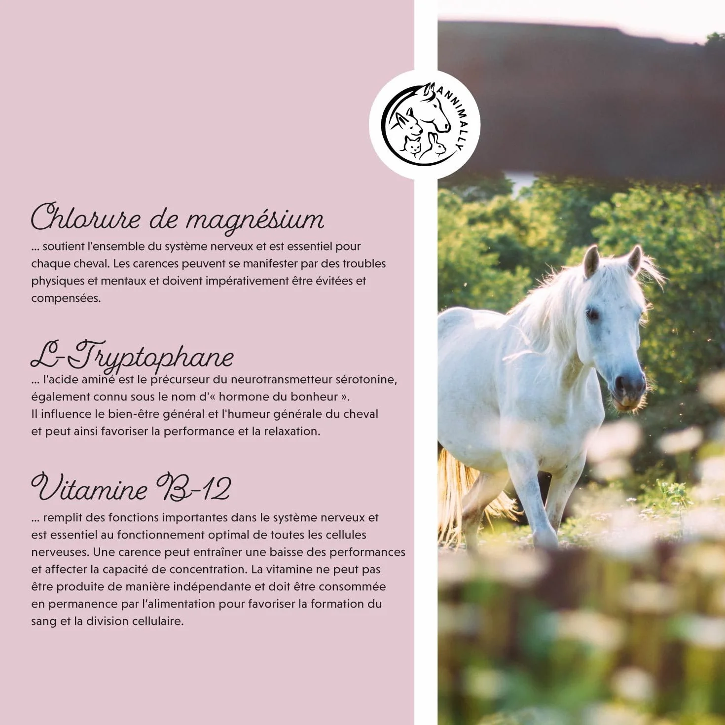 Relax Liquid pour Chevaux 1000ml Sirop Apaisant avec Valériane, Houblon, Tryptophane, B12, Magnésium et Calcium Liquide