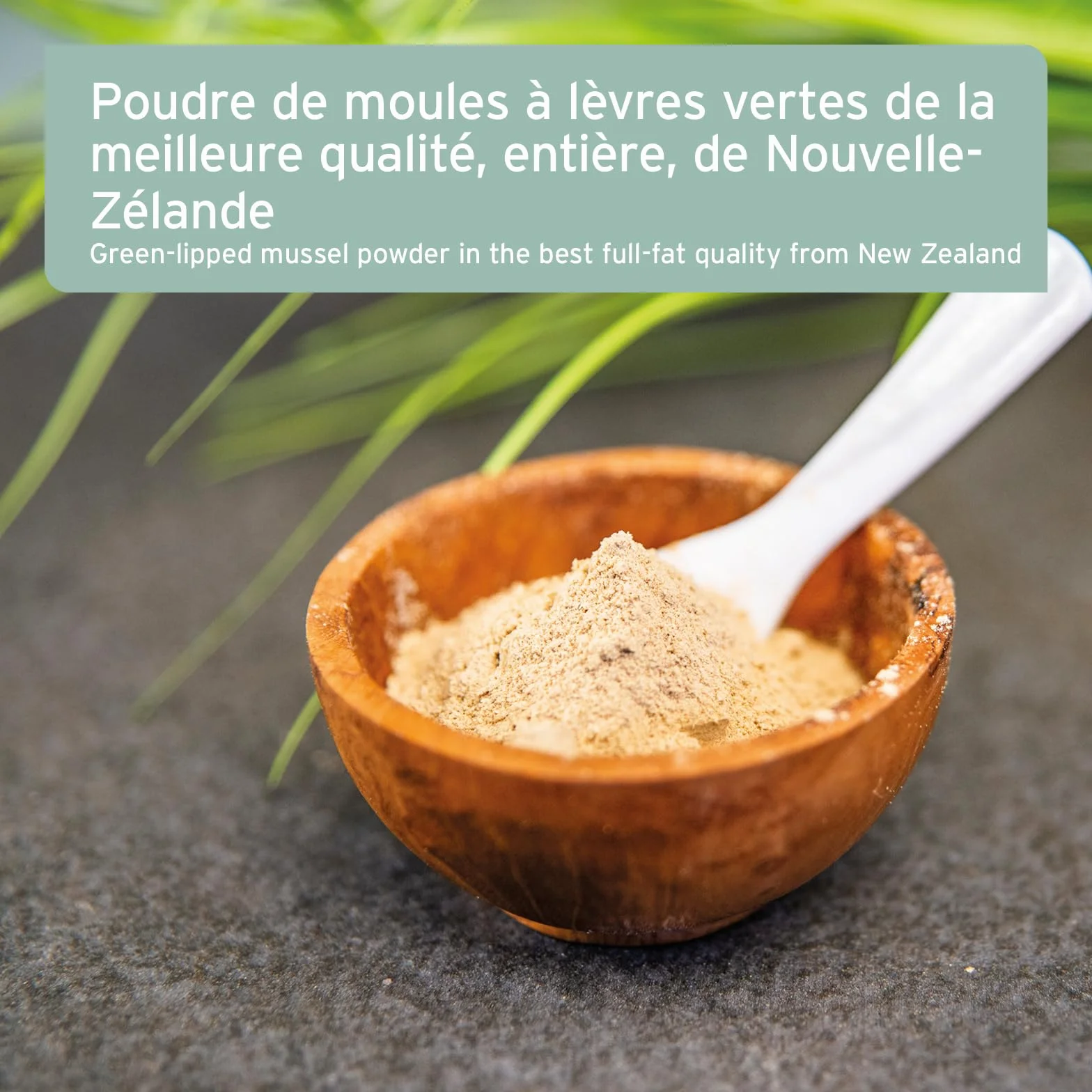 AniForte Poudre de Moules aux Orles Vertes 250 g pour Chiens & Chats – Soutien des Articulations