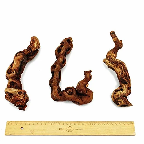 Exotenherz Bois de vigne 18-20 cm