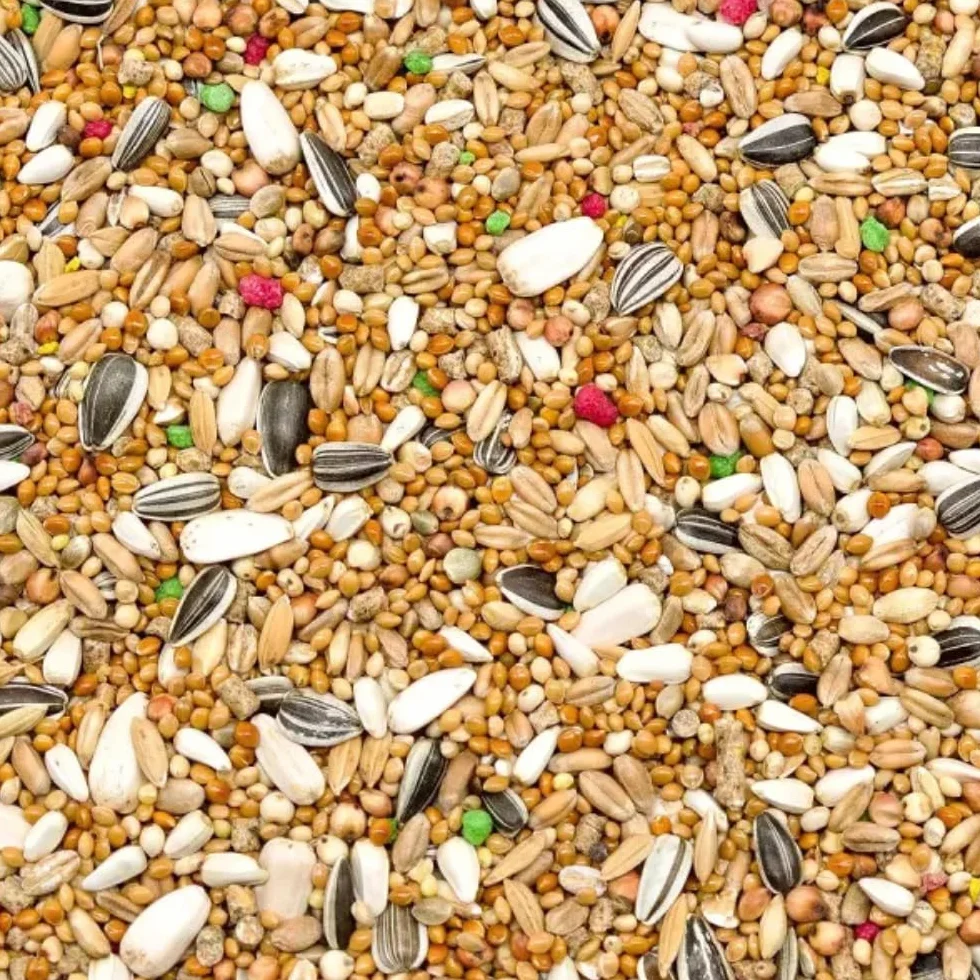 Nourriture pour perroquets de taille moyenne 10 kg avec chardon-Marie, carthame, graines de tournesol rayées et blanches