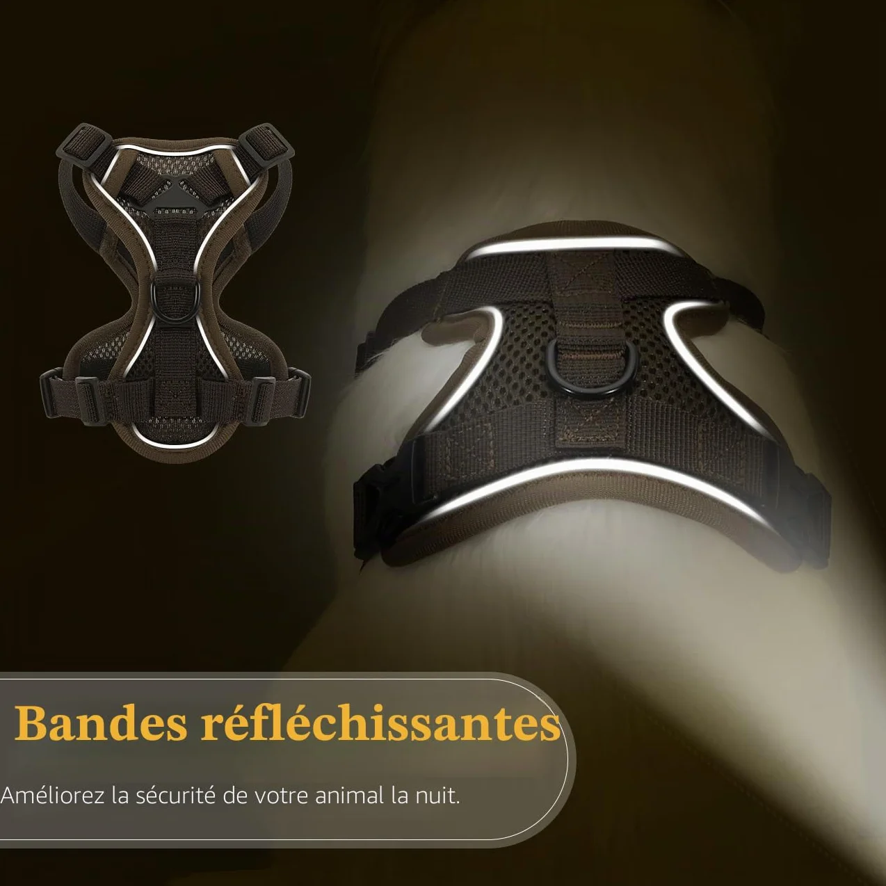 VavoPaw Harnais et Laisse Anti-évasion pour Chat, Ajustable avec Bande Réfléchissante, Filet Respirant, Taille S, Café