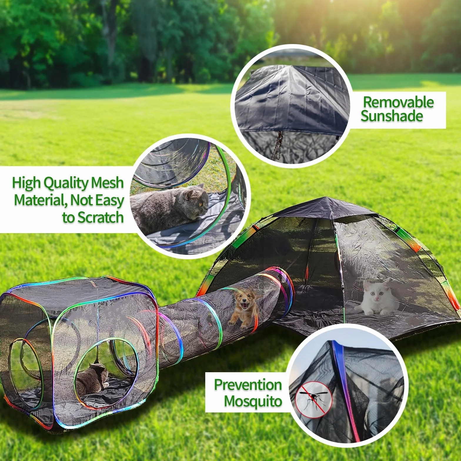 Homegroove Enclos d'extérieur 4 en 1 pour chat - Portable - Tente et tunnel