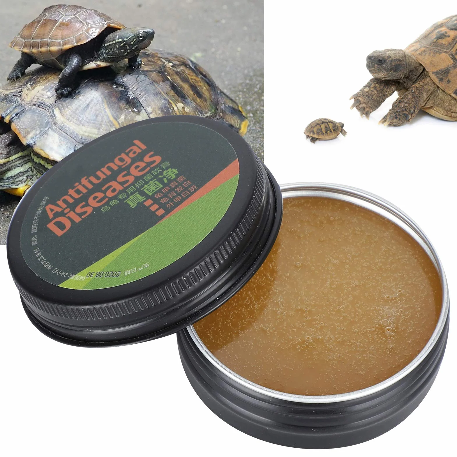 Crème de Soin de Tortue Pratique pour Protéger la Santé des Tortues de Compagnie