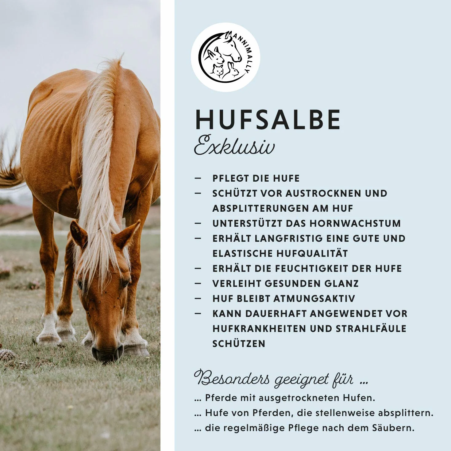 Baume pour sabots chevaux 500 ml, soin et durcisseur, pommade efficace