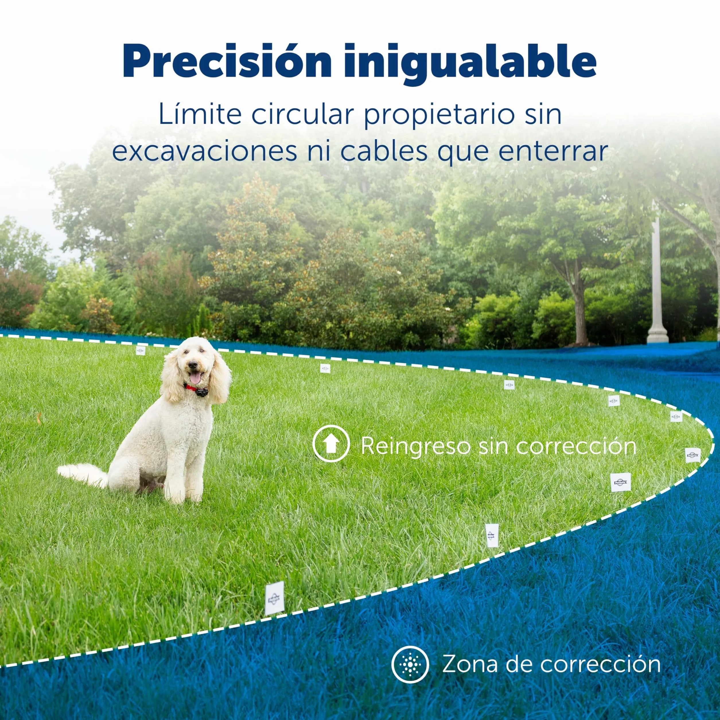 PetSafe Système Anti-Fugue sans Fil Portatif Collier Imperméable 5 Niveaux Stimulation Rayon 27.5m Pile