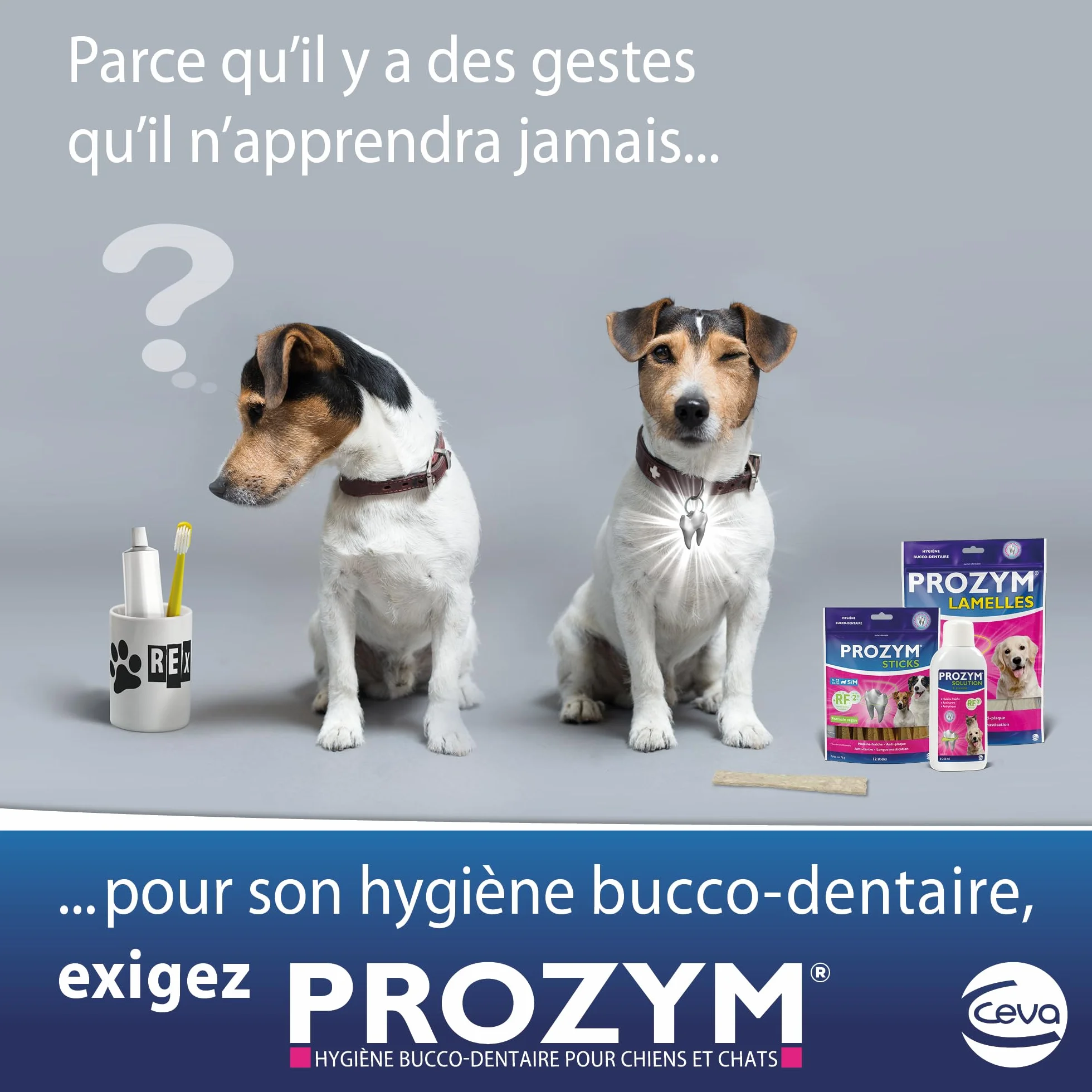 Prozym Lamelles Chiens Soin Dentaire Anti-tartre Anti-Plaque Haleine Fraîche (S)