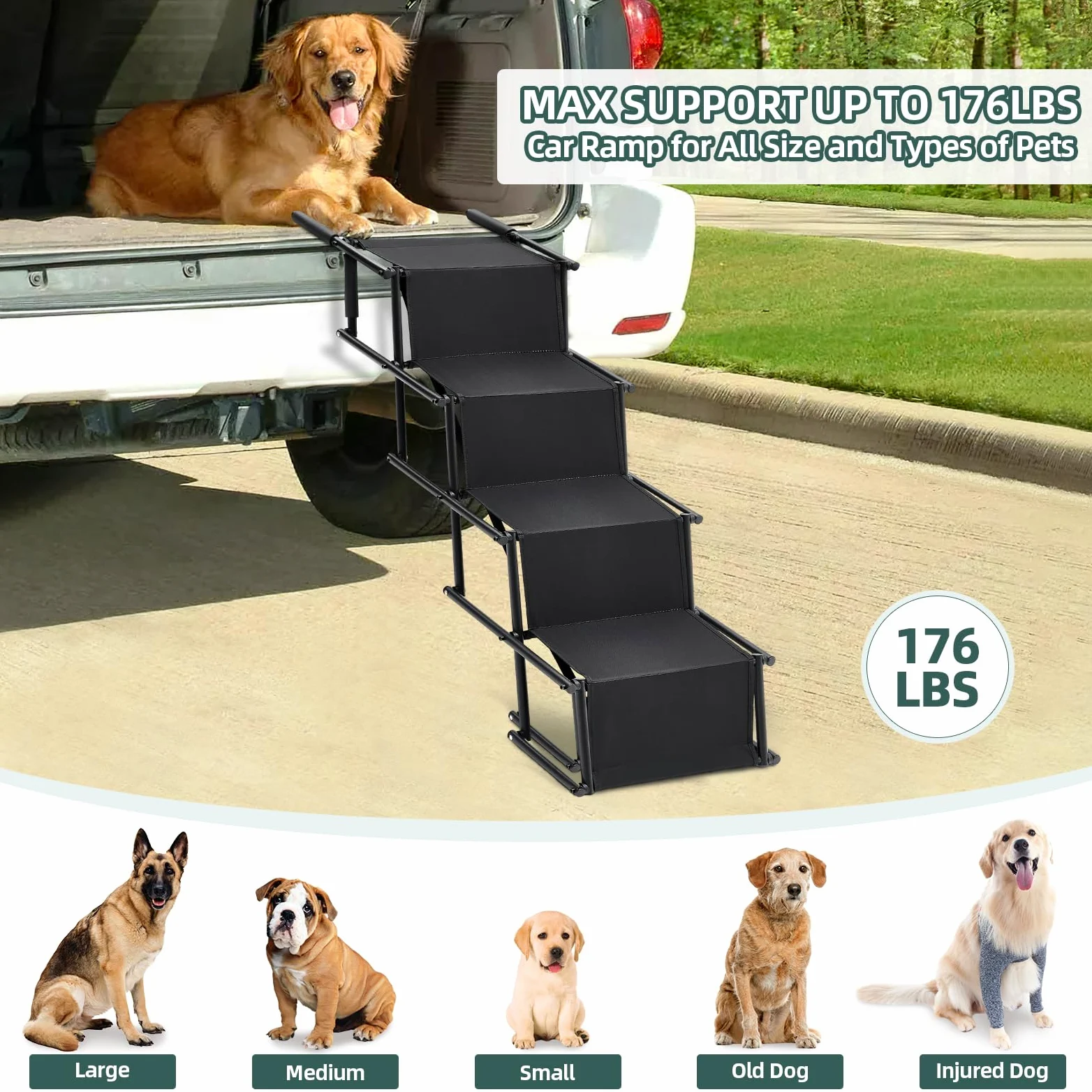 The Fellie Rampe pliable pour chien, marches portables pour chien, lit haut, 2 hauteurs réglables avec rampes de sécurité antidérapantes pour voitures, rampe d'escalier légère pour animaux de