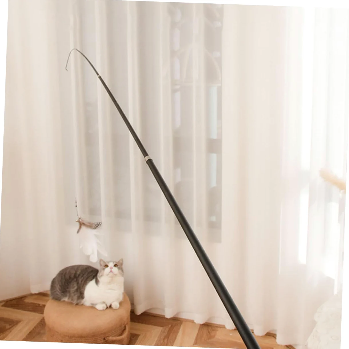 Mipcase 8pièces Télescopique pour Chat Jouet Interactif avec Plume pour Activité Curiosité des Félins