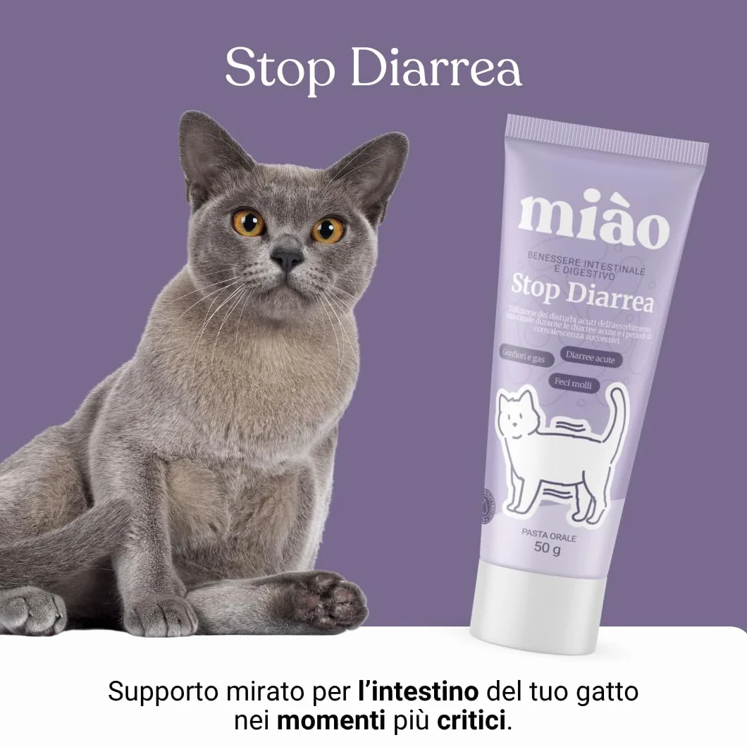 Miào Stop Diarrhée Chat Pâte – Soutien Intestinal Diarrhée Aiguë, Selles Fermes, Réhydratation Électrolytes