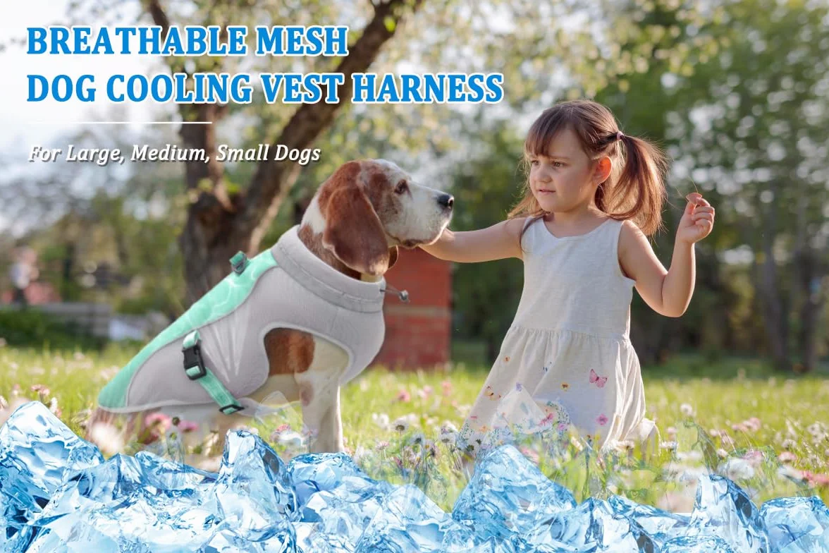 Gilet Rafraîchissant Réfléchissant pour Chien Protection Solaire Évaporation Harnais avec Sangles Réglables Vert L