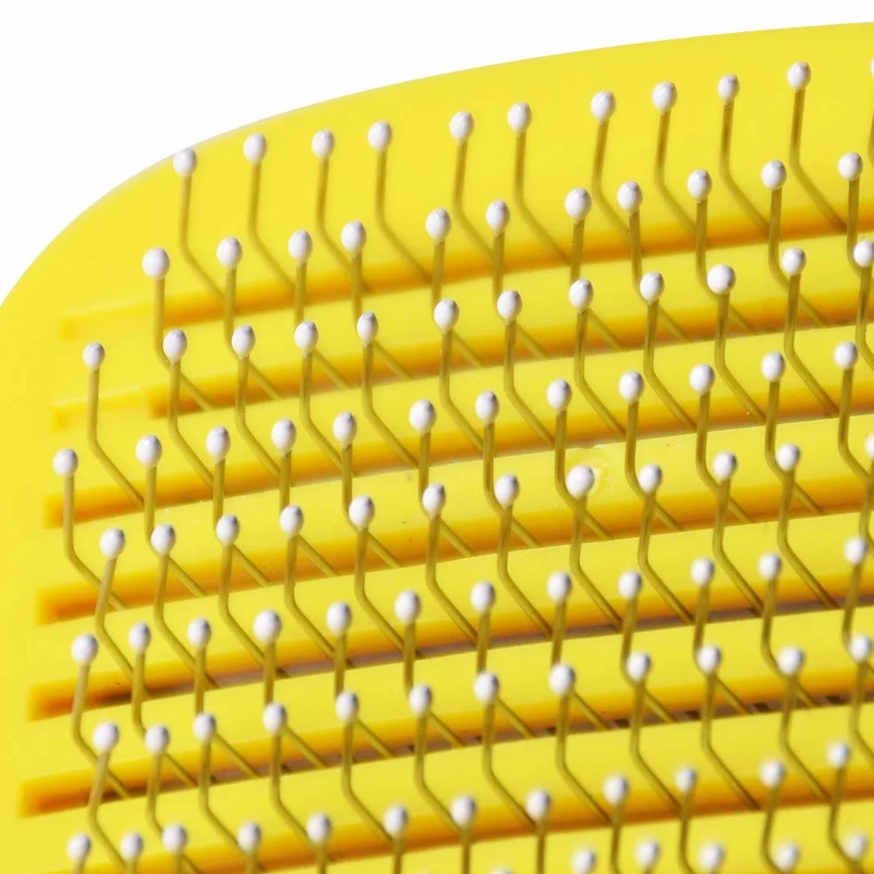 Passat Brosse Auto-nettoyante pour Chats Manche Ergonomique Couvercle Protection