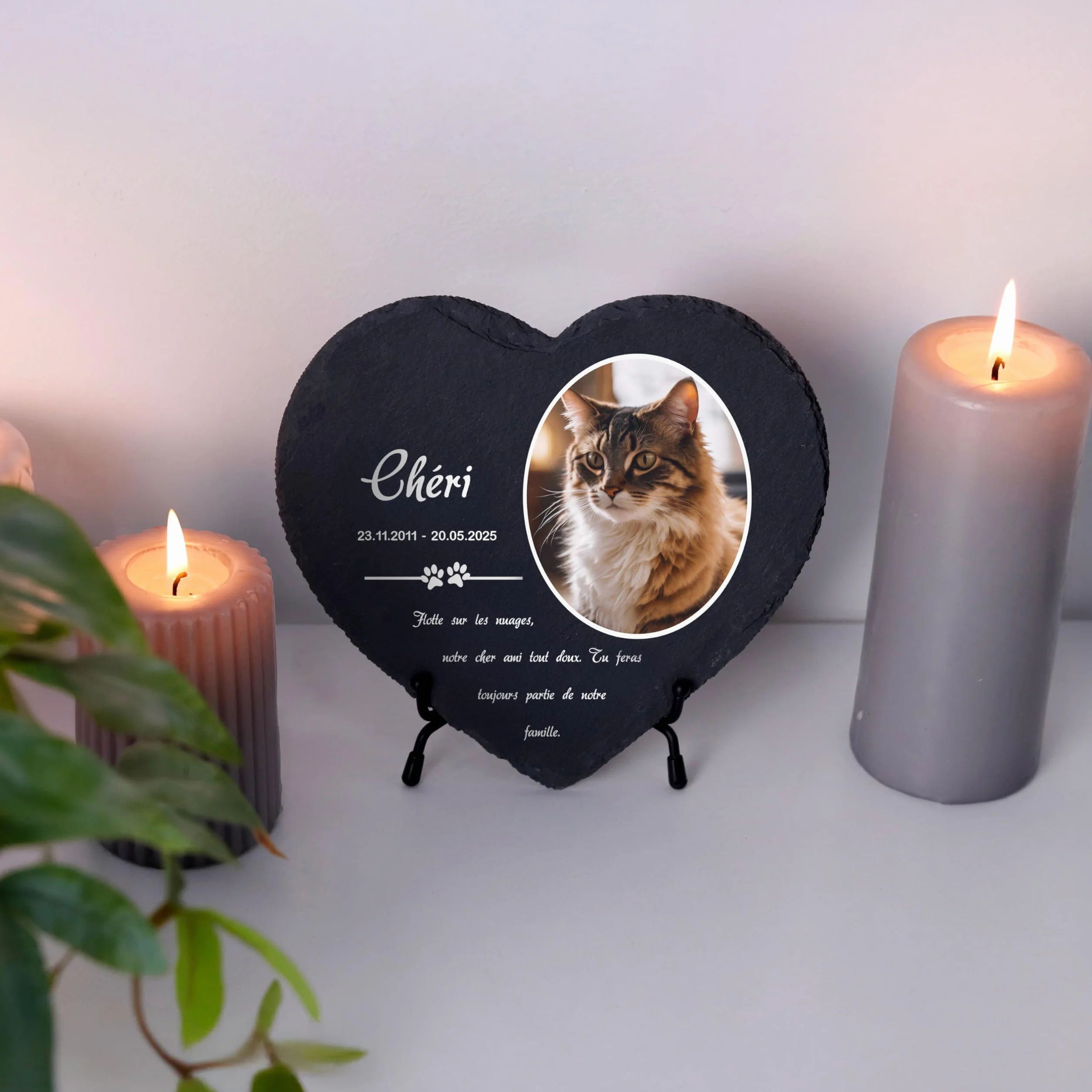 Plaque funéraire personnalisée pour Chien et Chat - Ardoise gravée Pierre tombale Animaux