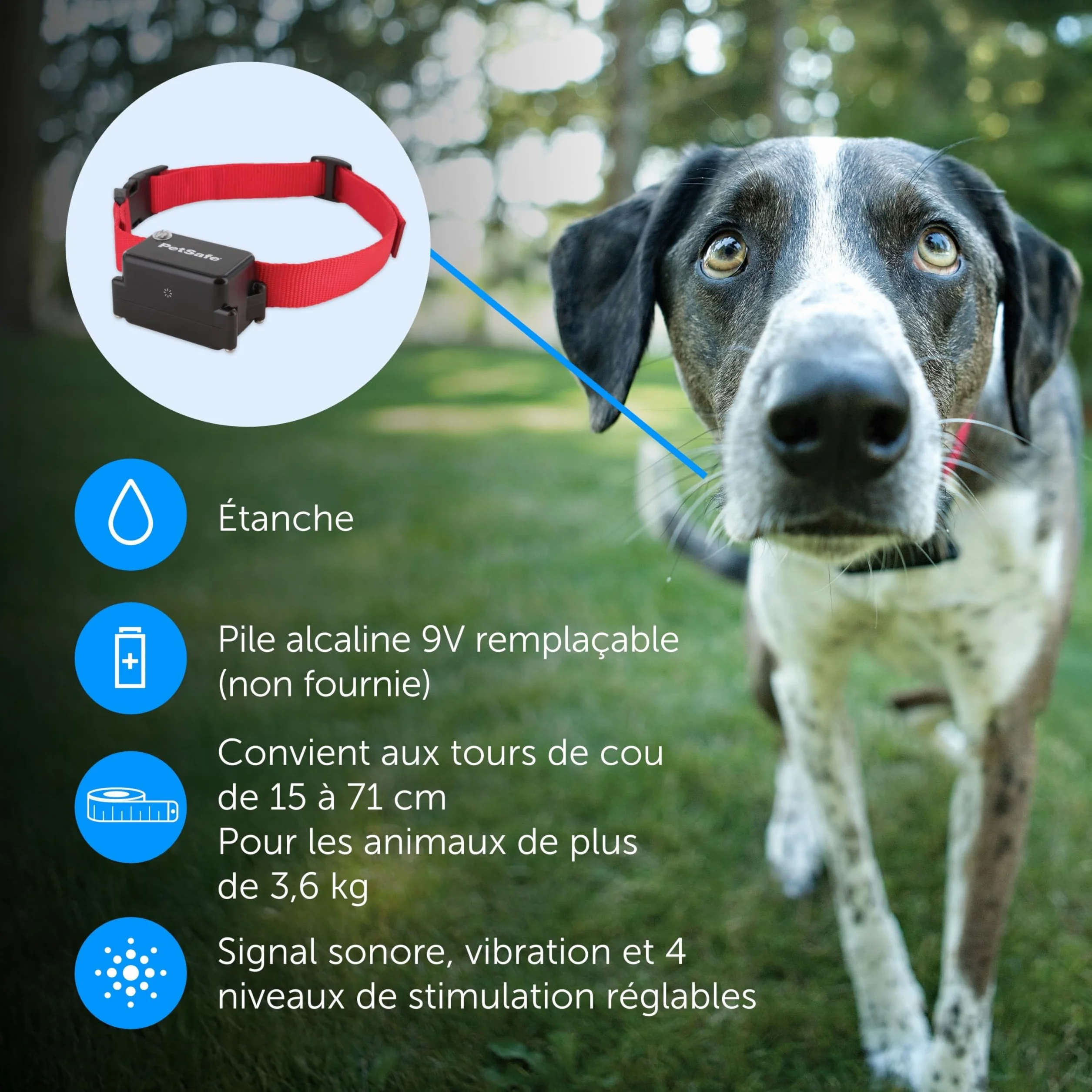 PetSafe Système de clôture enterré pour Chiens têtus Correction Statique Haute Intensité Modes Sonore Vibration Collier Ajustable Imperméable Design Évolutif