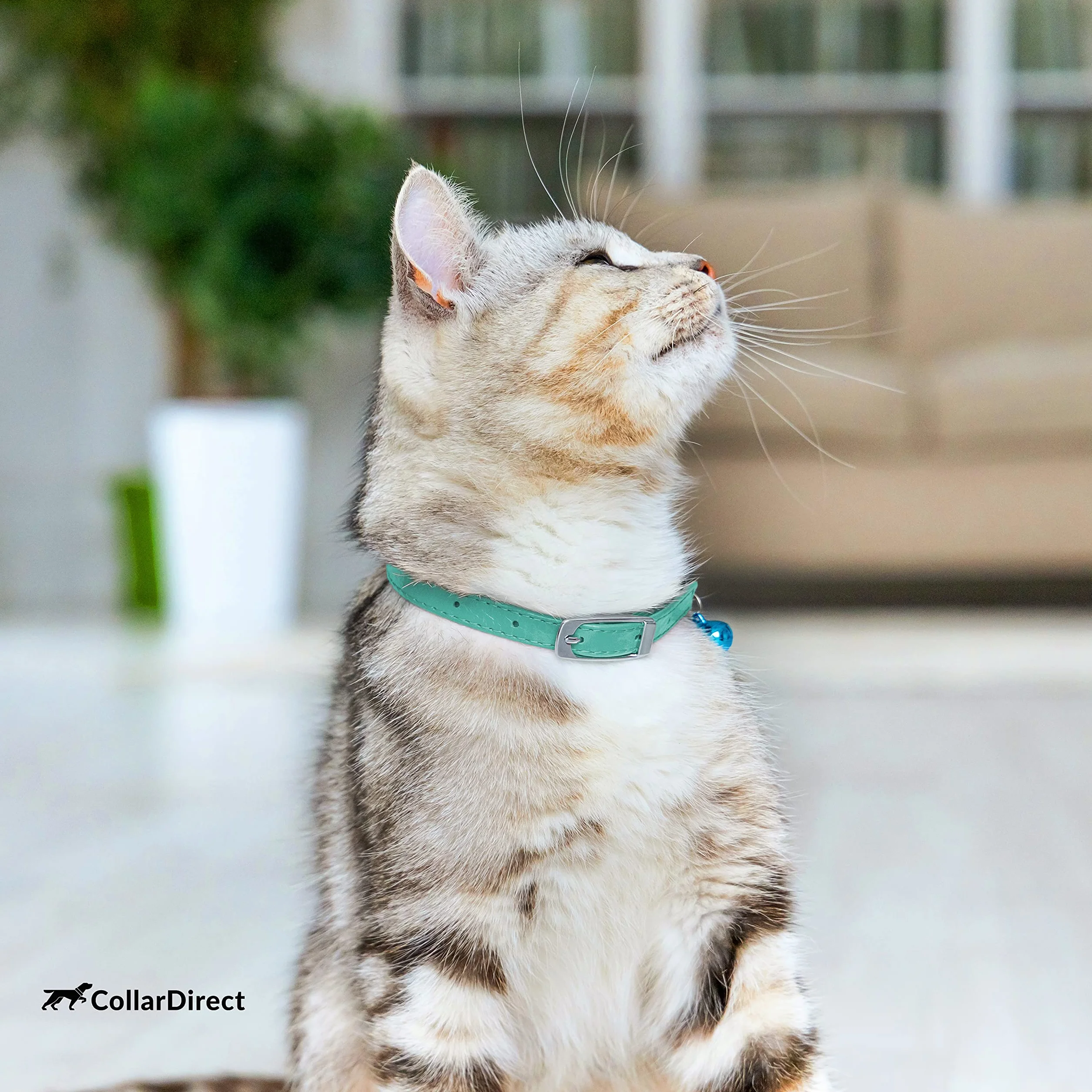 Collier pour Chat en Cuir de Sécurité avec Sangle Elastique, Cloche pour Chaton - Noir, Bleu, Rouge, Orange, Vert Lime (20-28 cm)