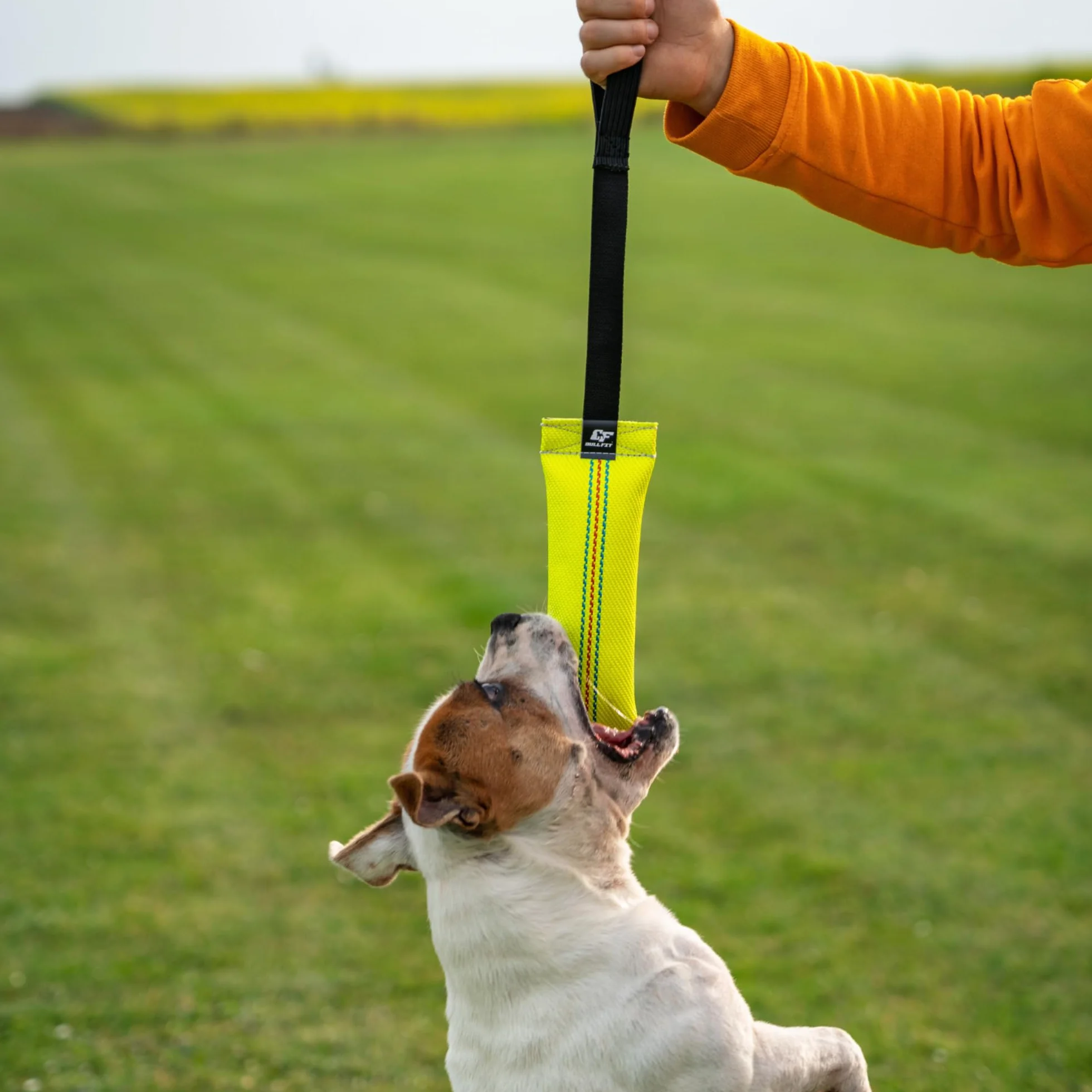 Bull Fit Bungee Boudin Jouet pour Chien 30 cm Anse Tuyaux Lance Incendie Robuste Mordant