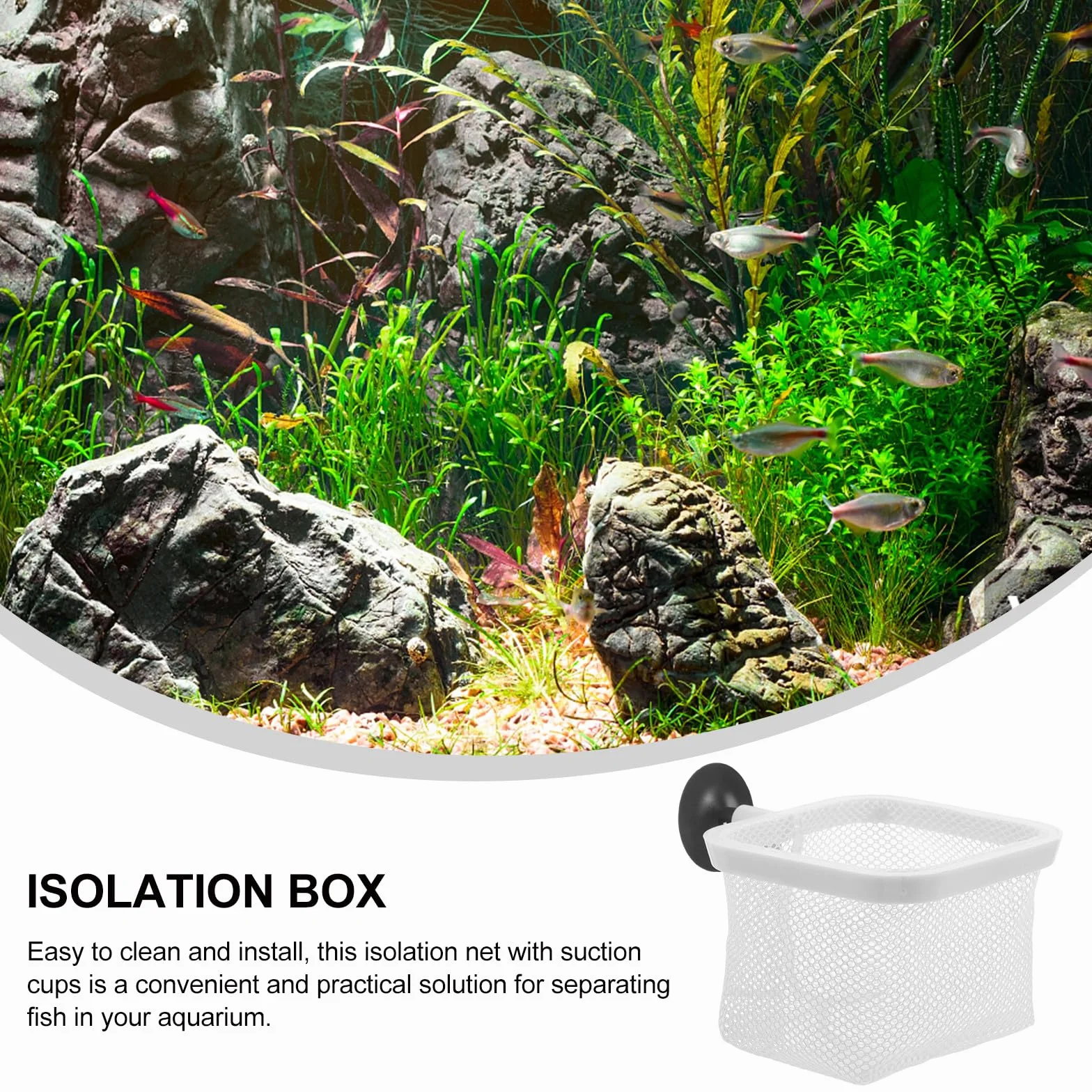 BESPORTBLE Boîte d'Élevage en Filet avec Ventouses pour Aquarium, Conteneur d'Isolement pour Poissons