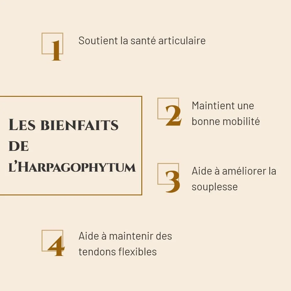 HARPAGOPHYTUM Complément nutritionnel Cheval 1 kg Mobilité articulations Marque française